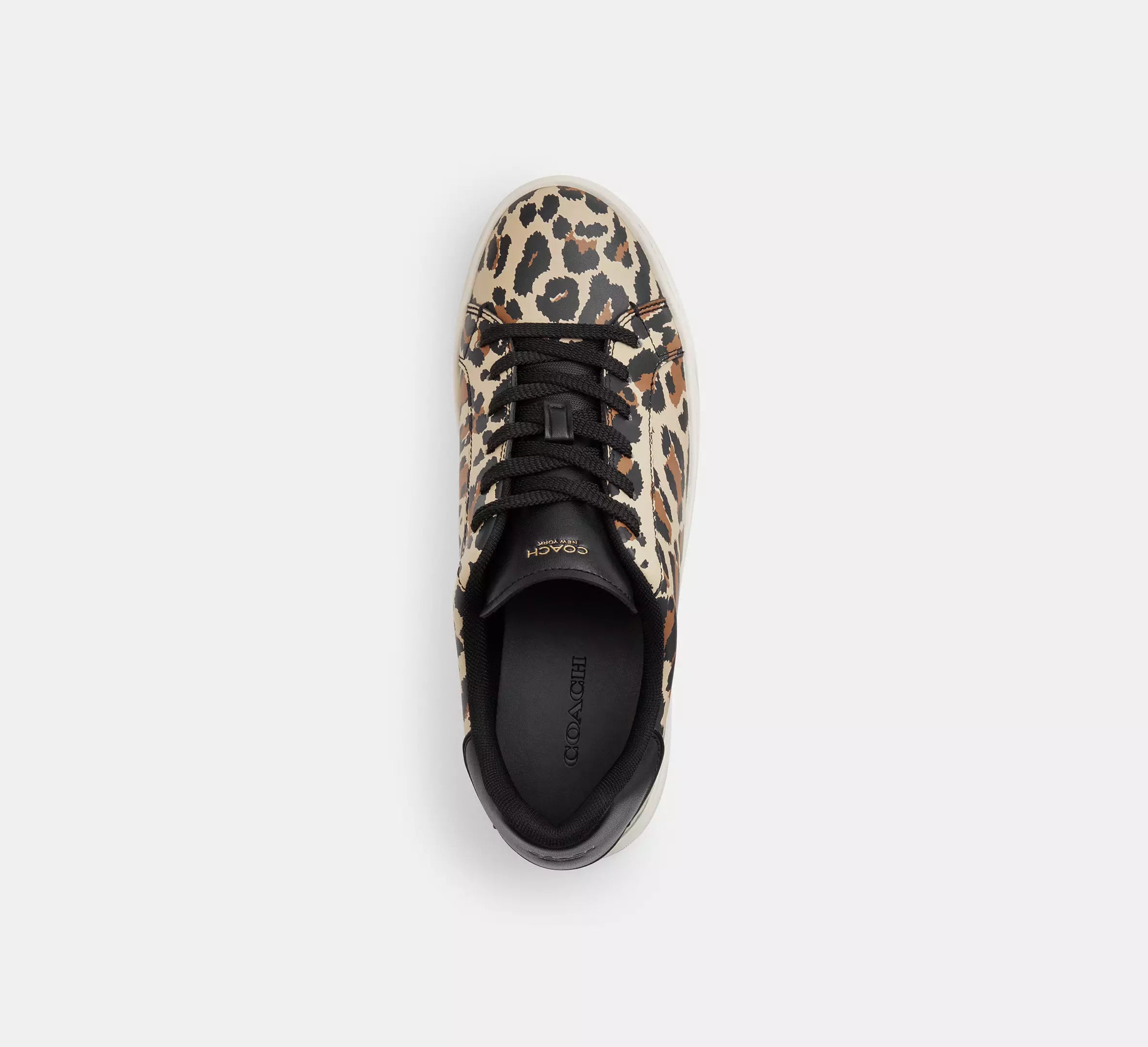 Black/Leopard
