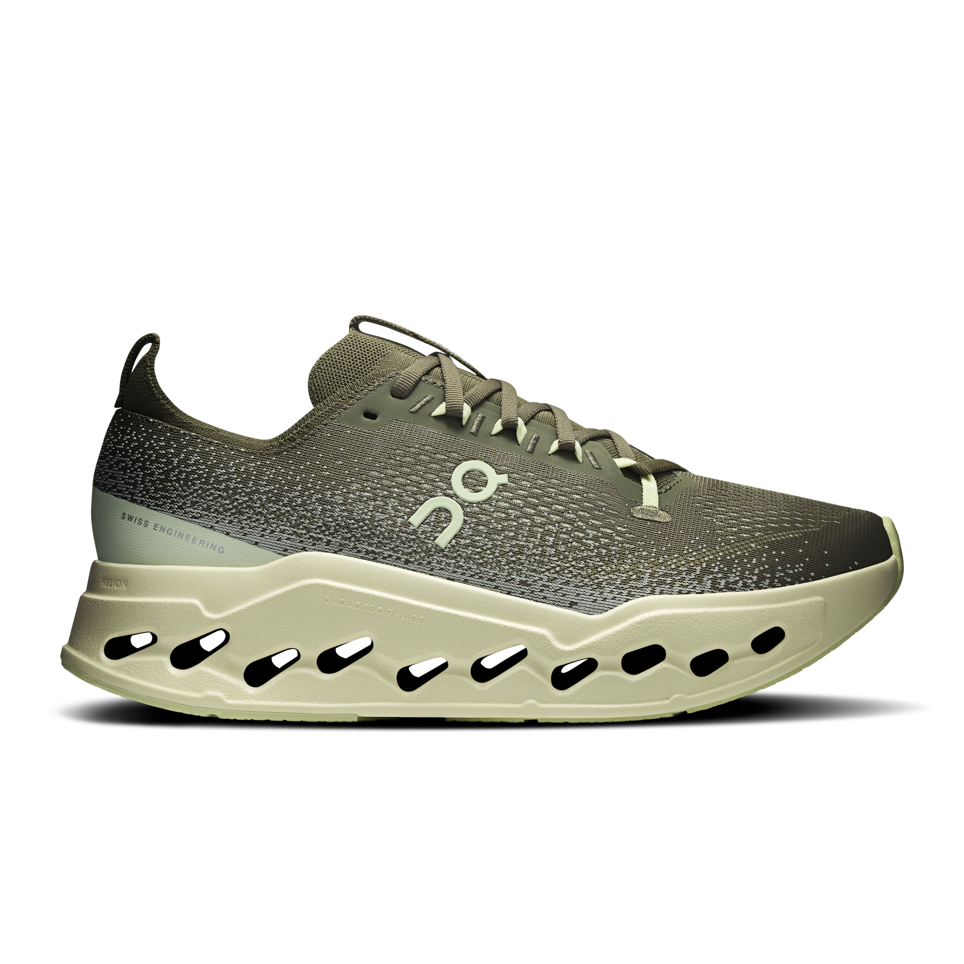 Olive | Seedling