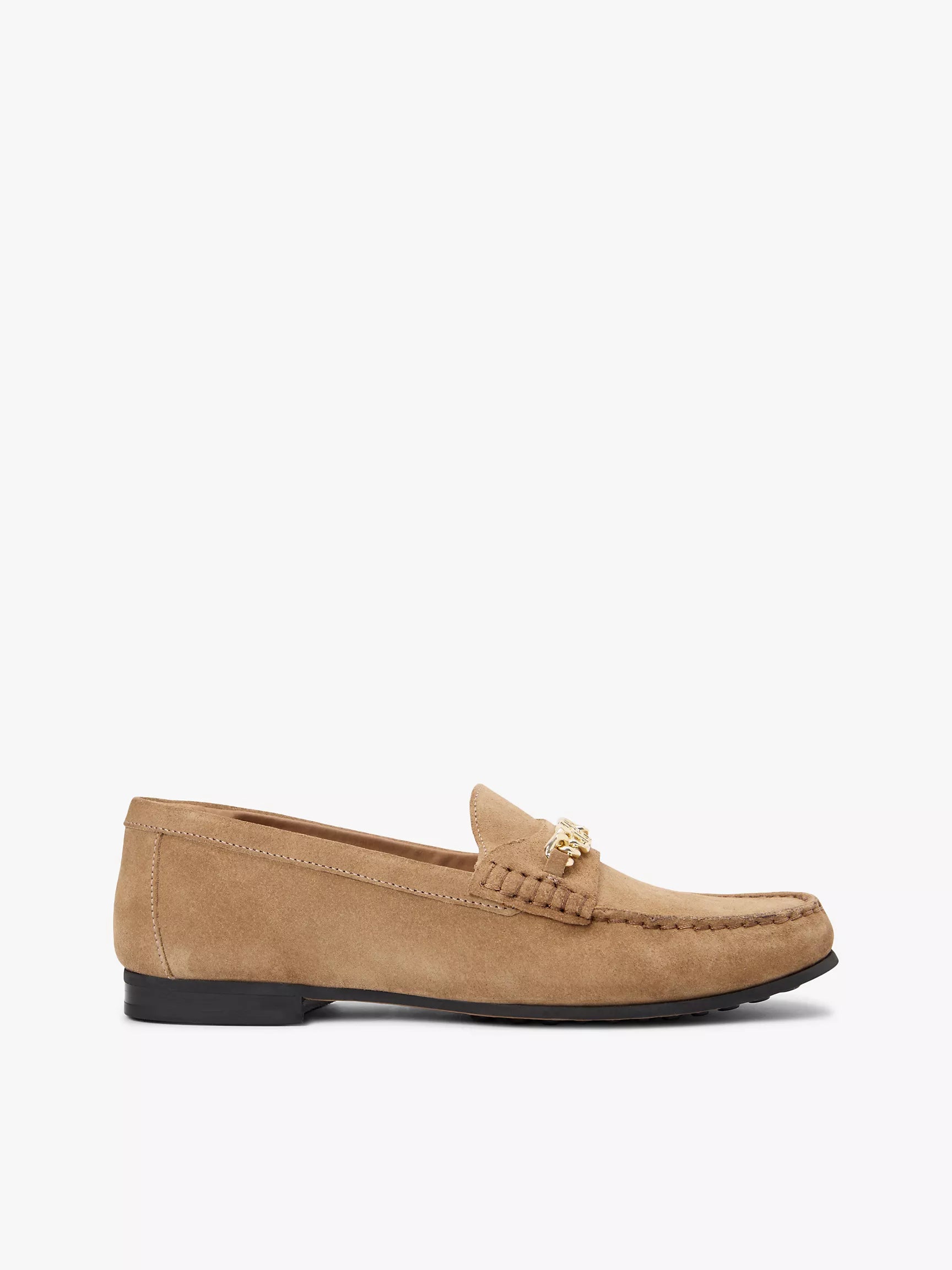 Safari Canvas
