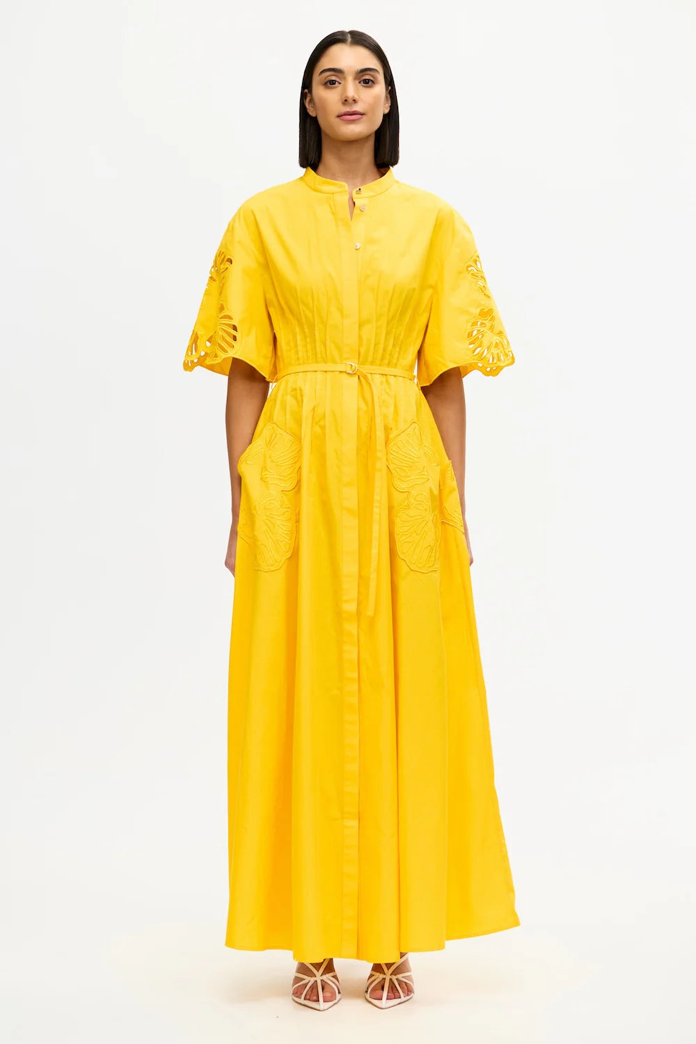 Daffodil