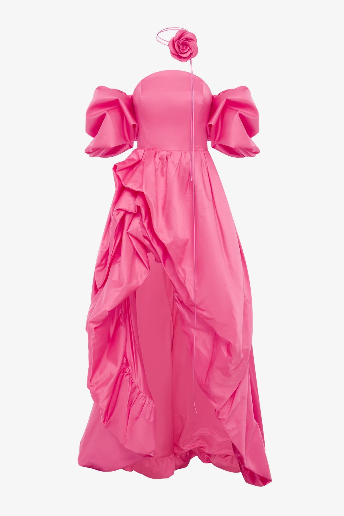 Fuchsia