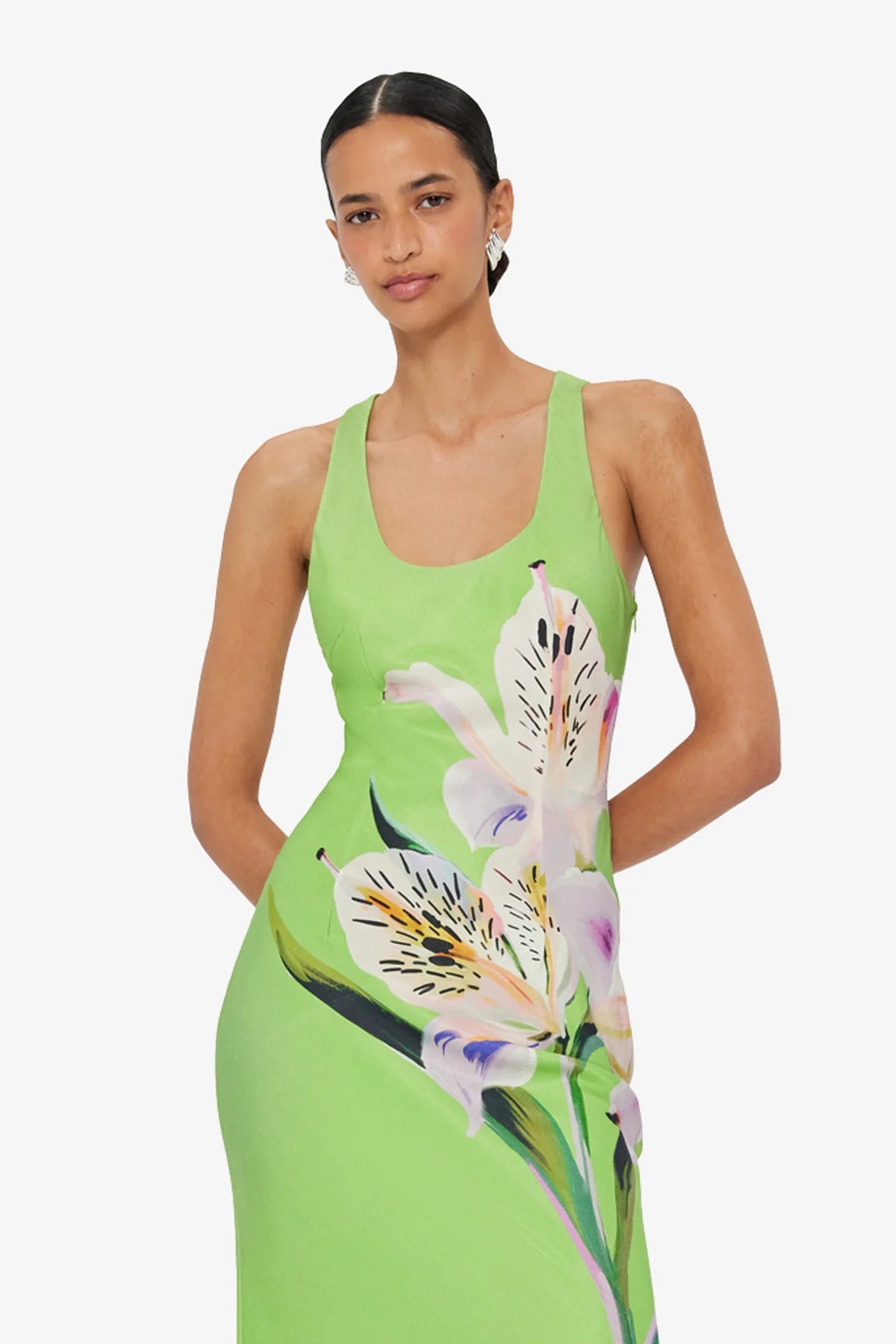 Lily Print in Parakeet