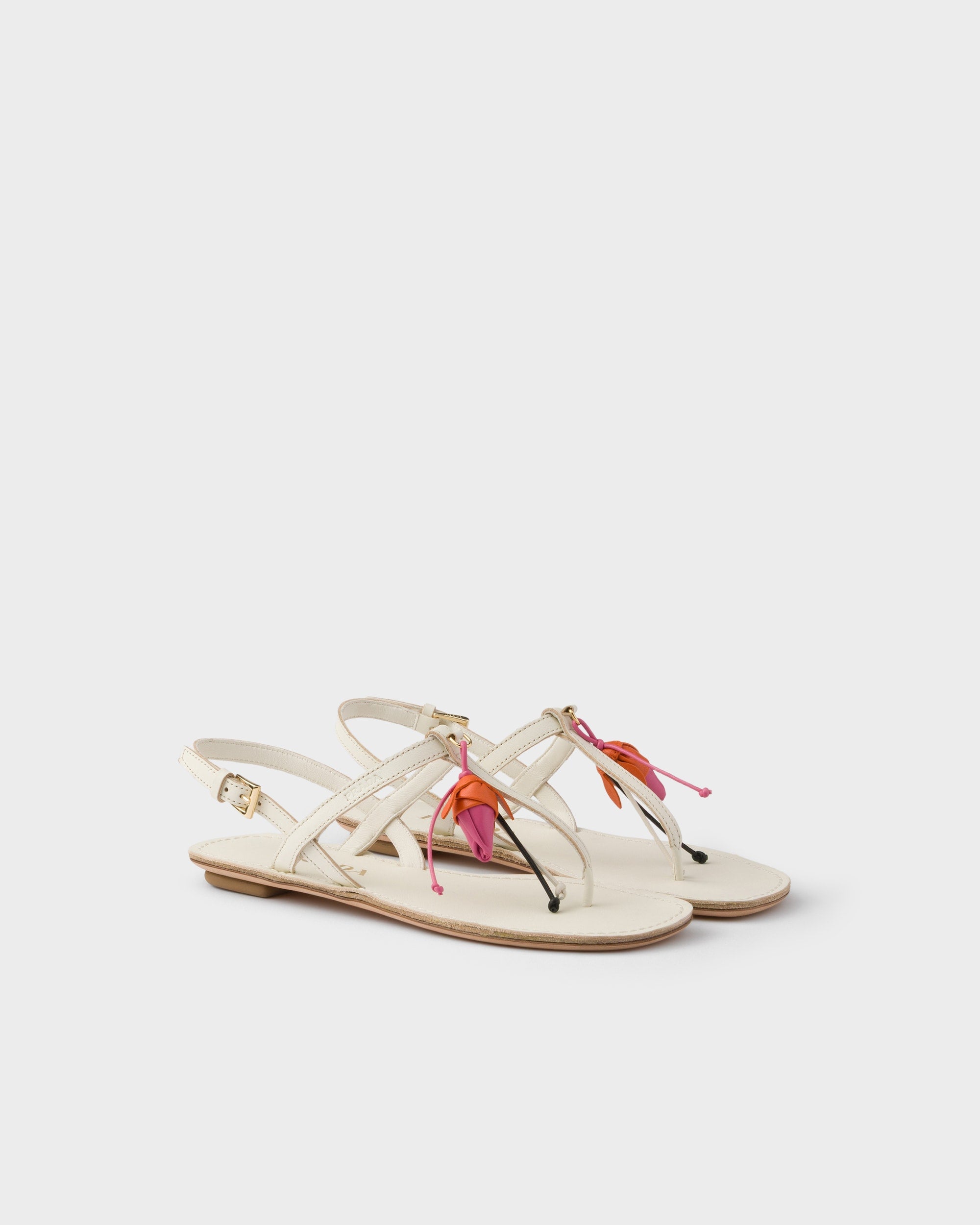Blanco Calizo
