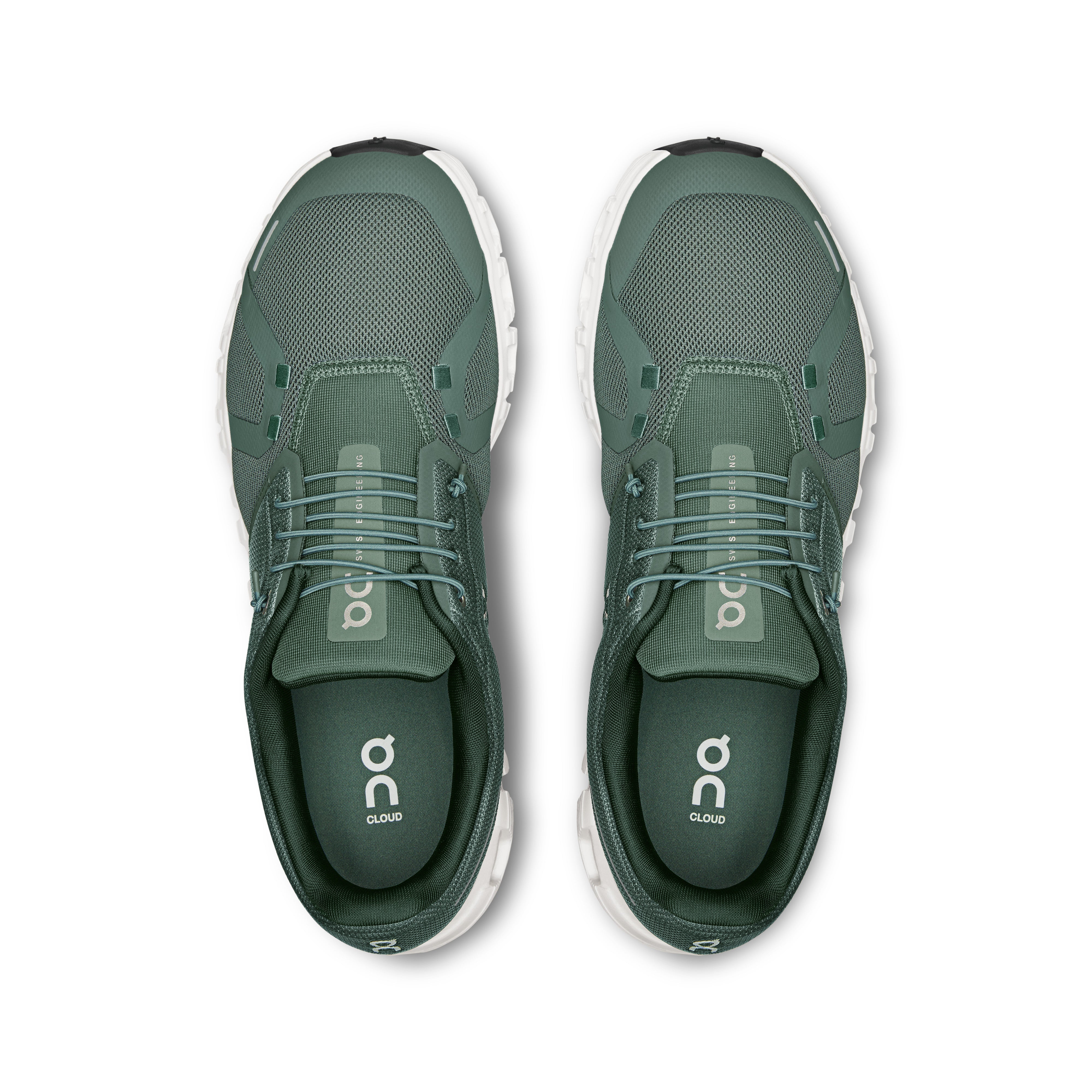 Olive | Evergreen