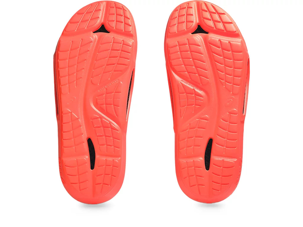 Sunrise Red/Black