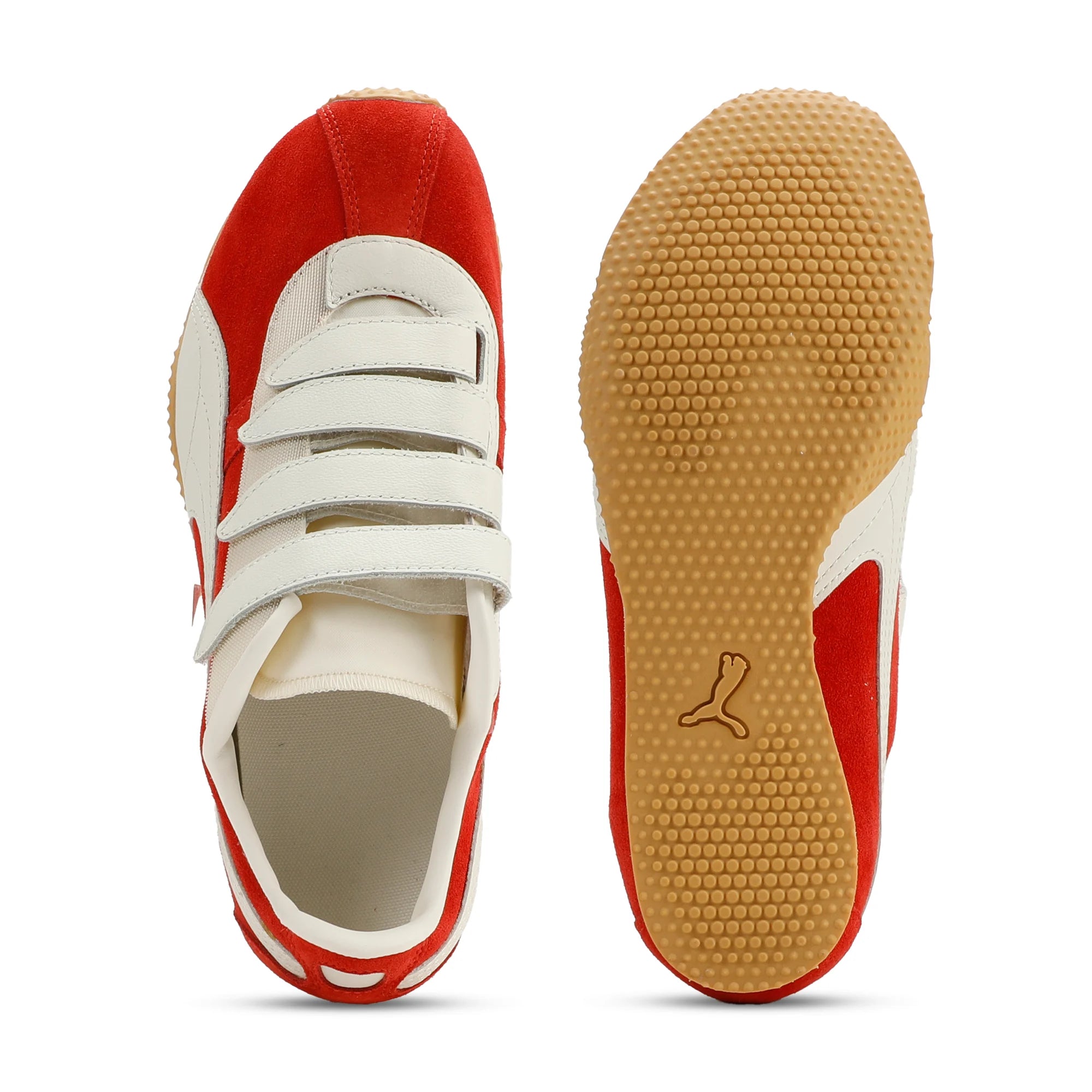 Candy Apple-Warm White