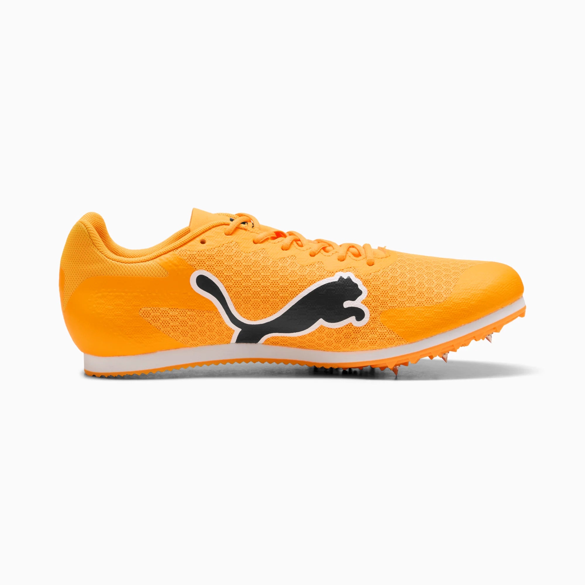 Sun Stream-PUMA Black-PUMA White