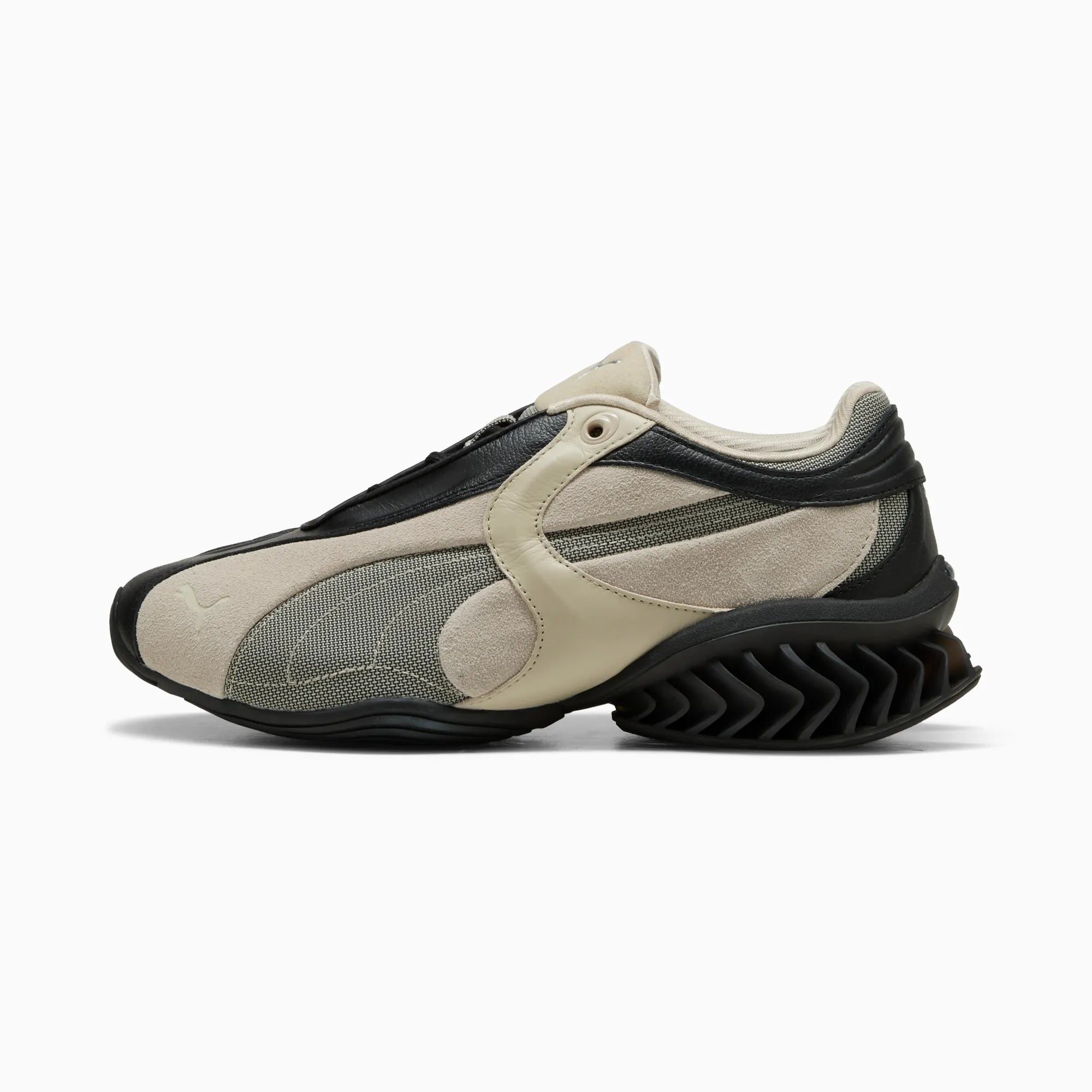 PUMA Black-Birch Tree
