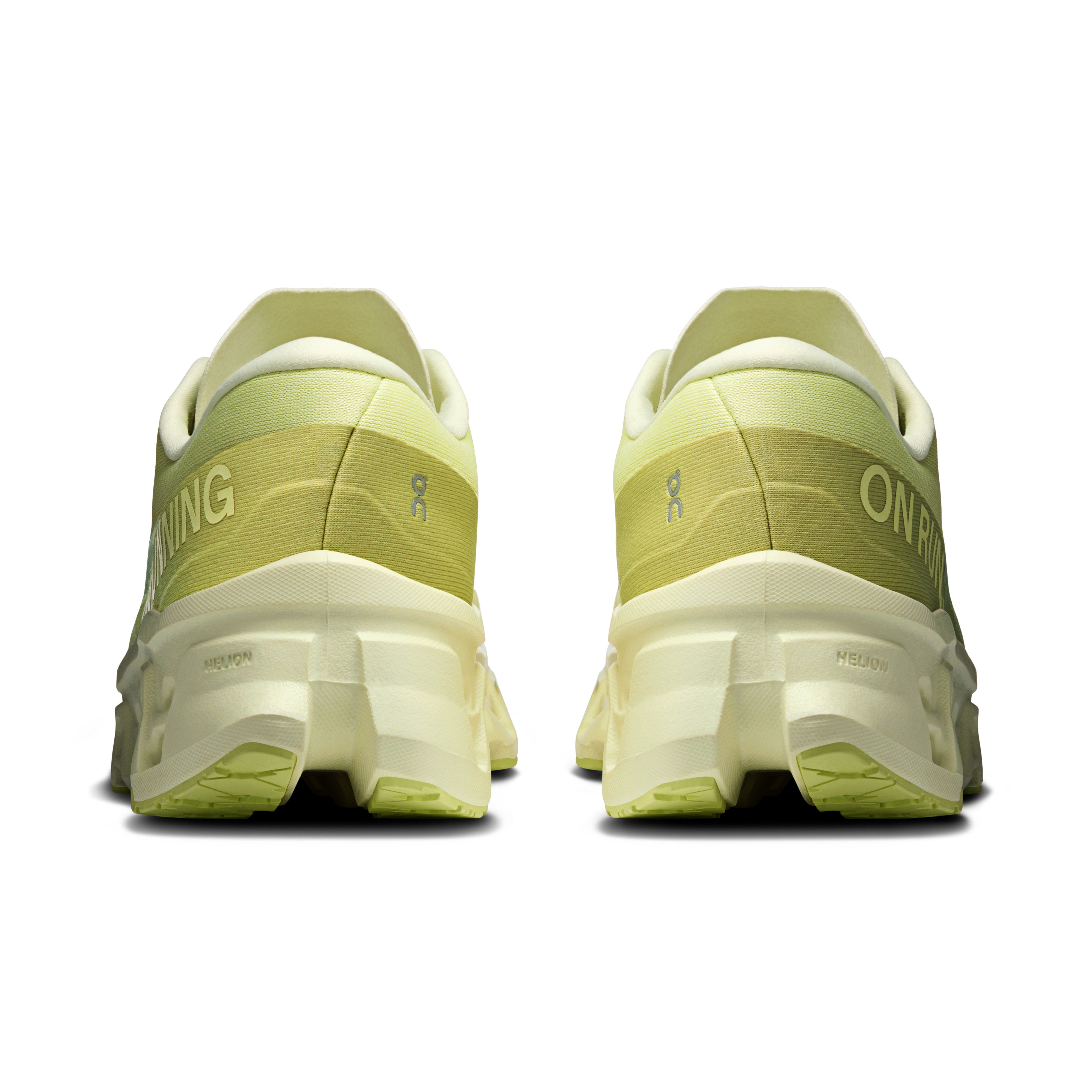 Limelight | Seedling