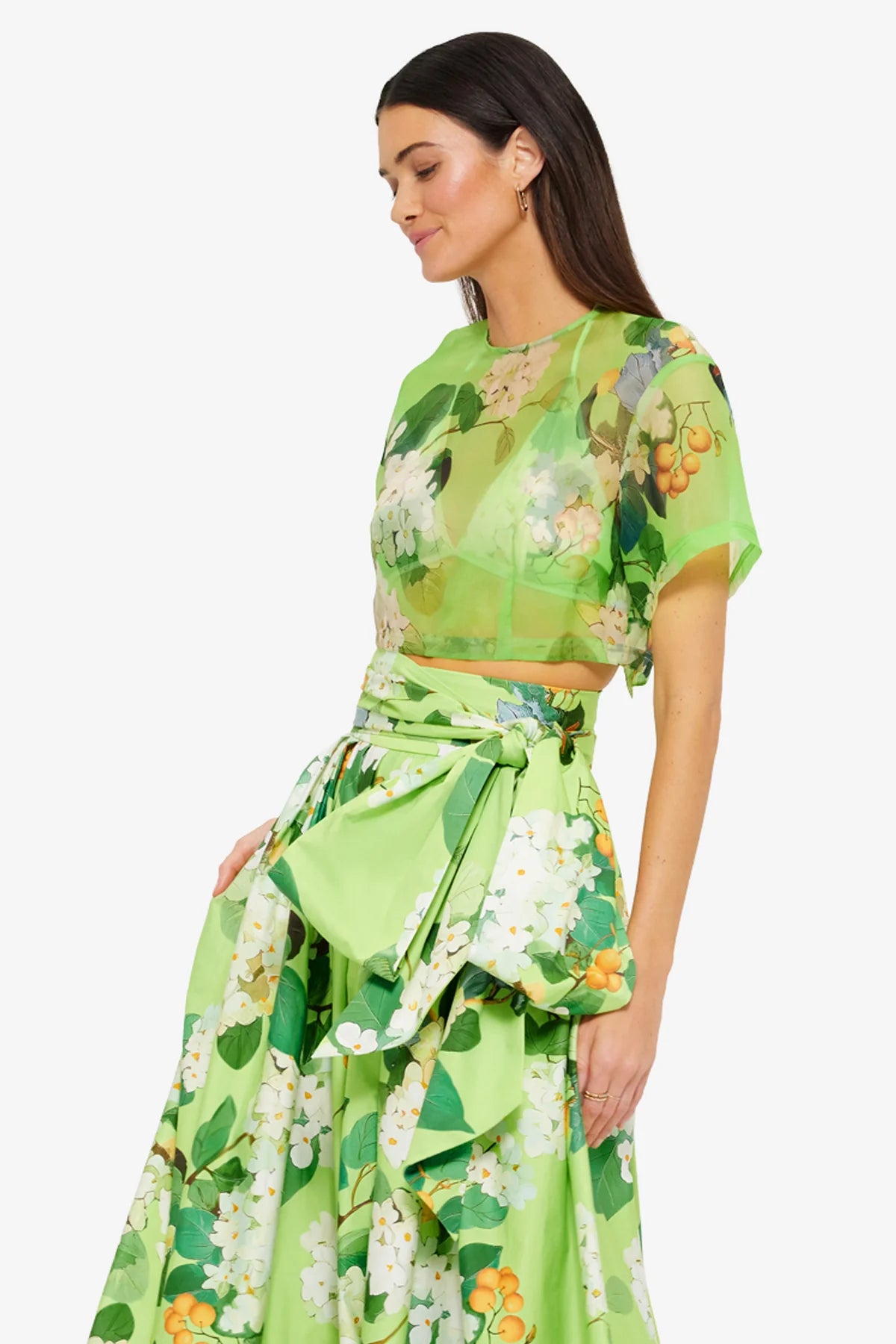 Hydrangea in Lime