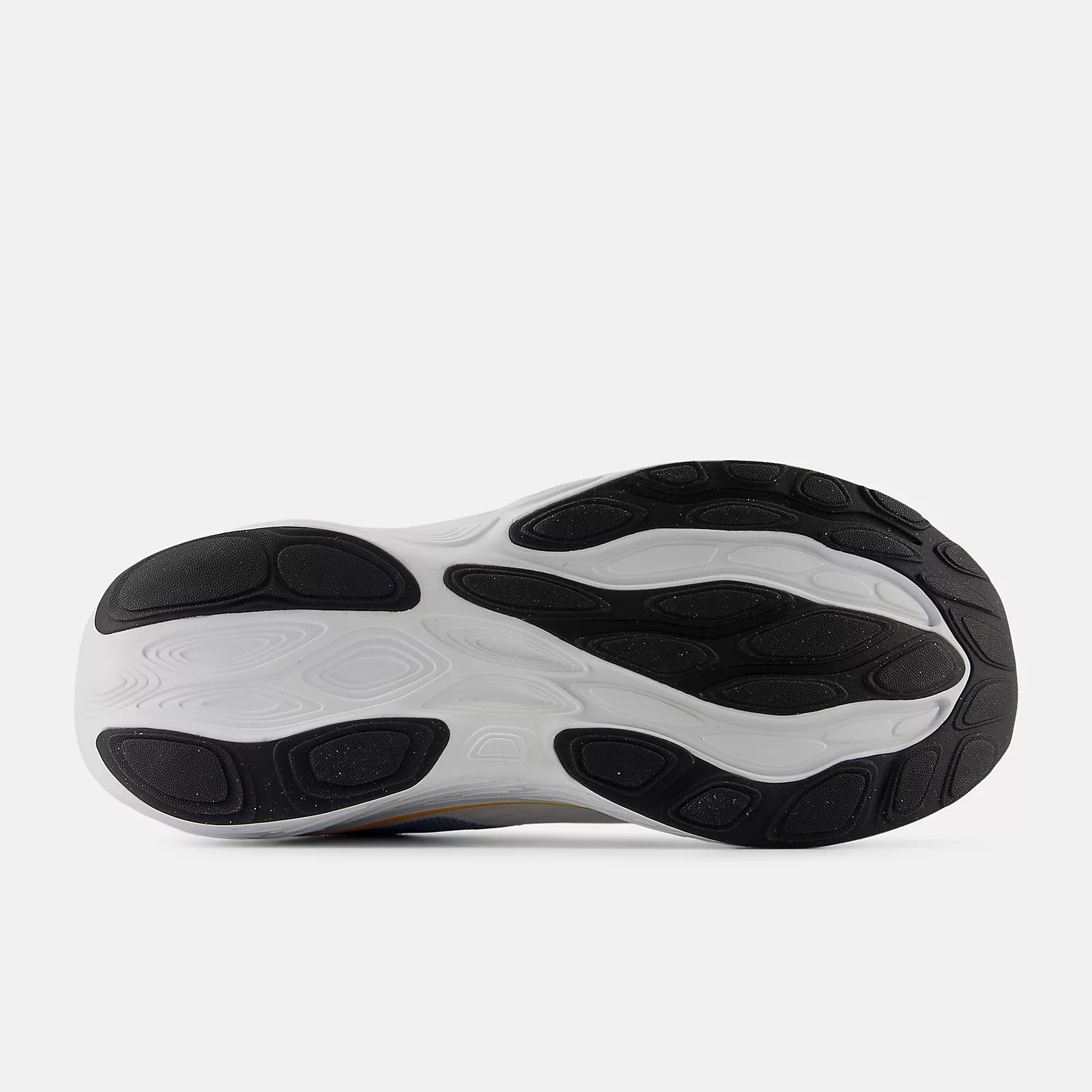 White With Black And Sea Stone