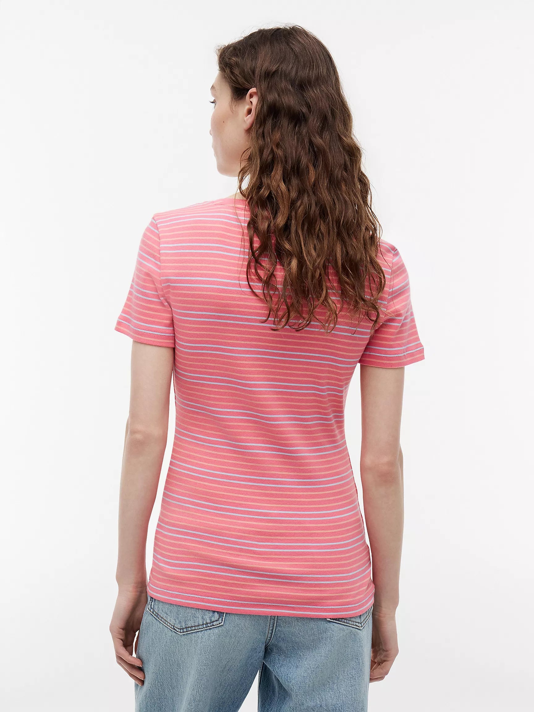 Garden Rose / Coral Stripe