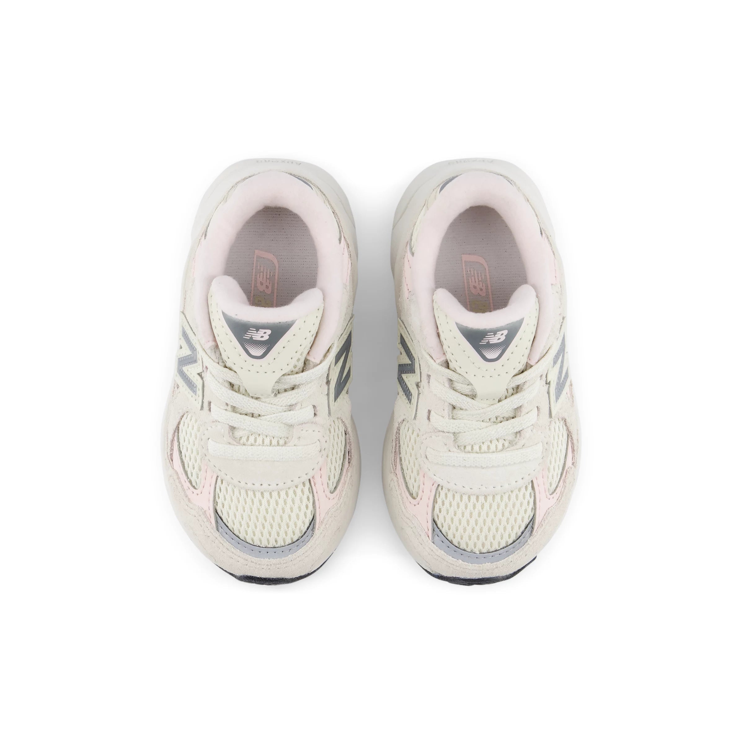Turtledove With Shell Pink