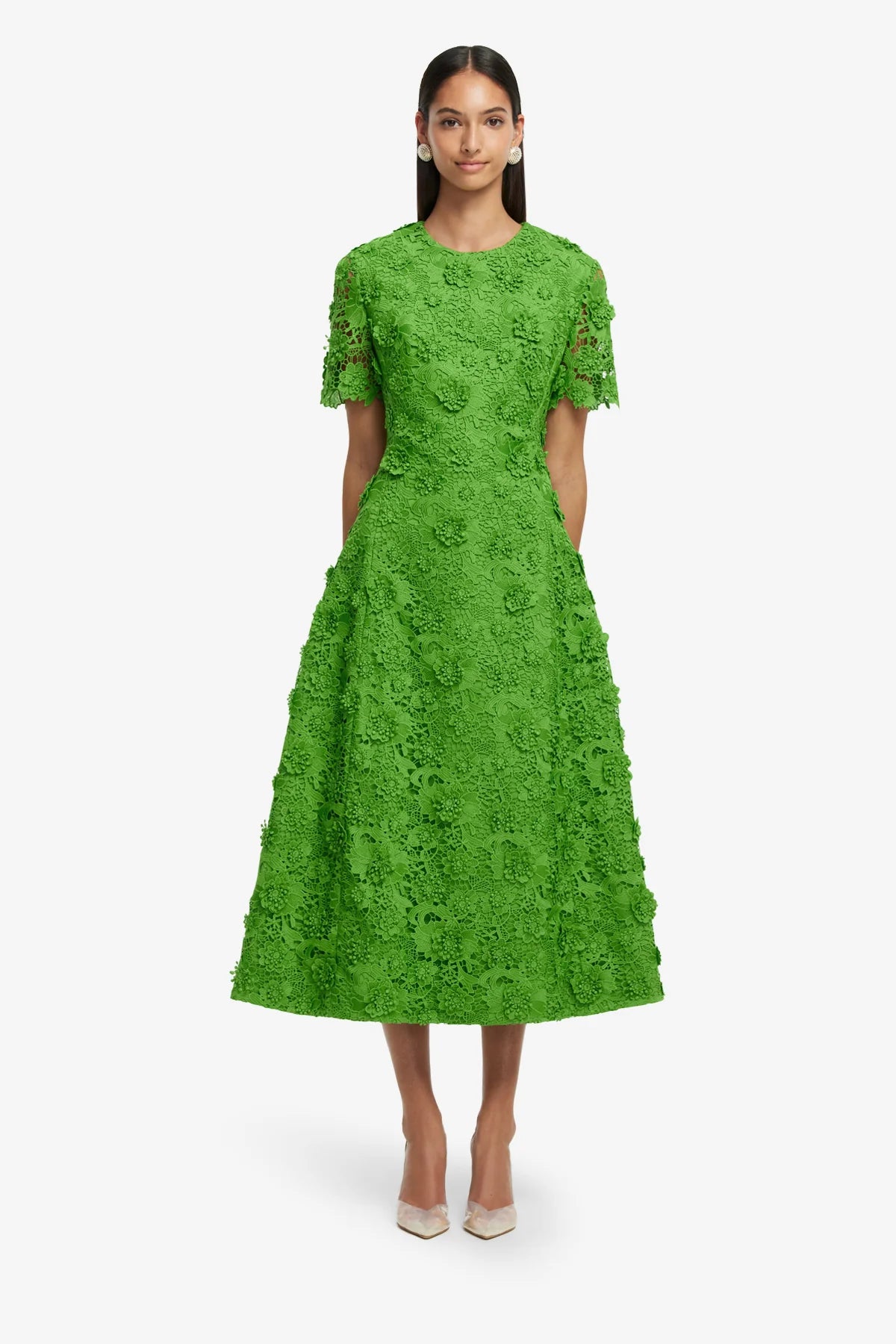 Fern
