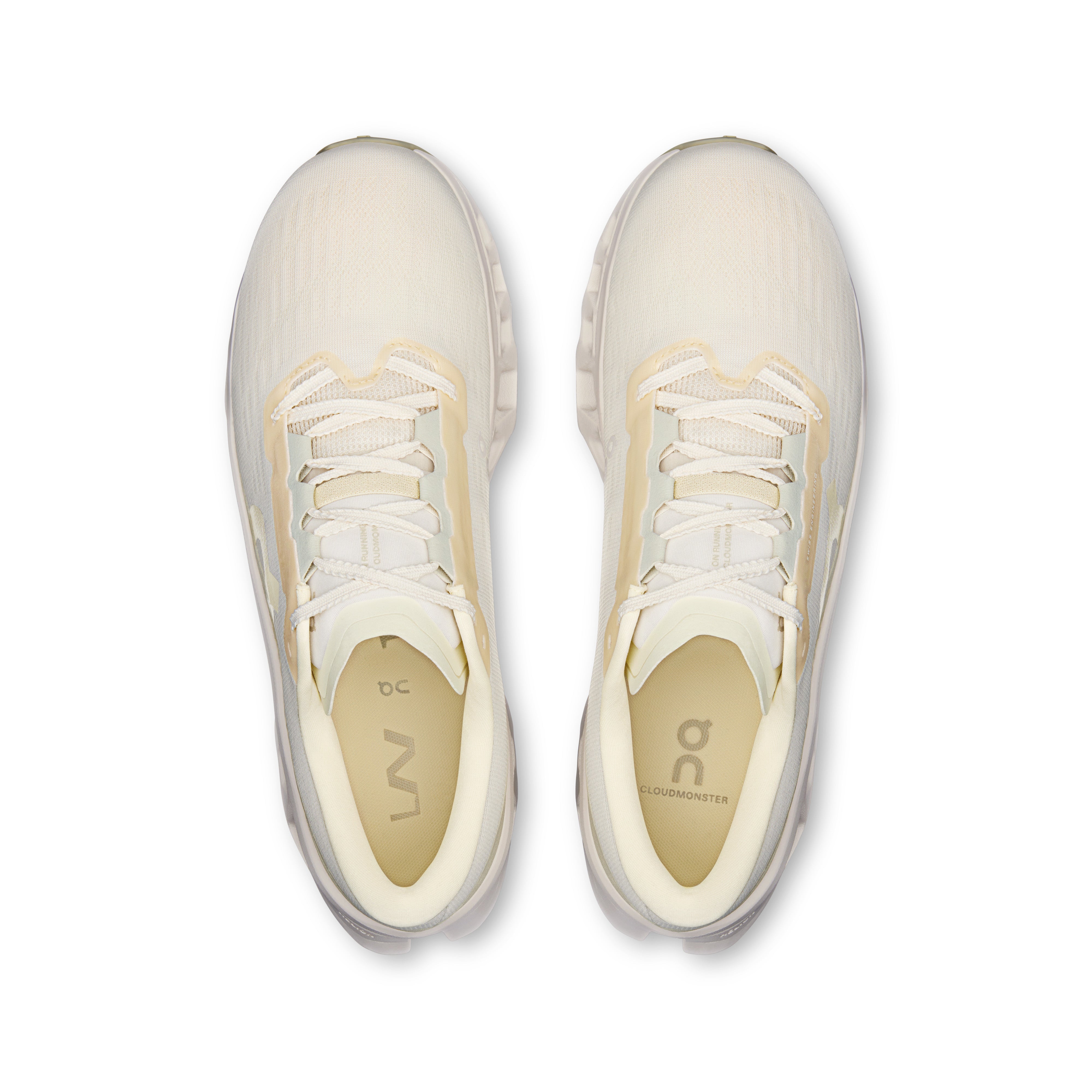Ivory | Ray