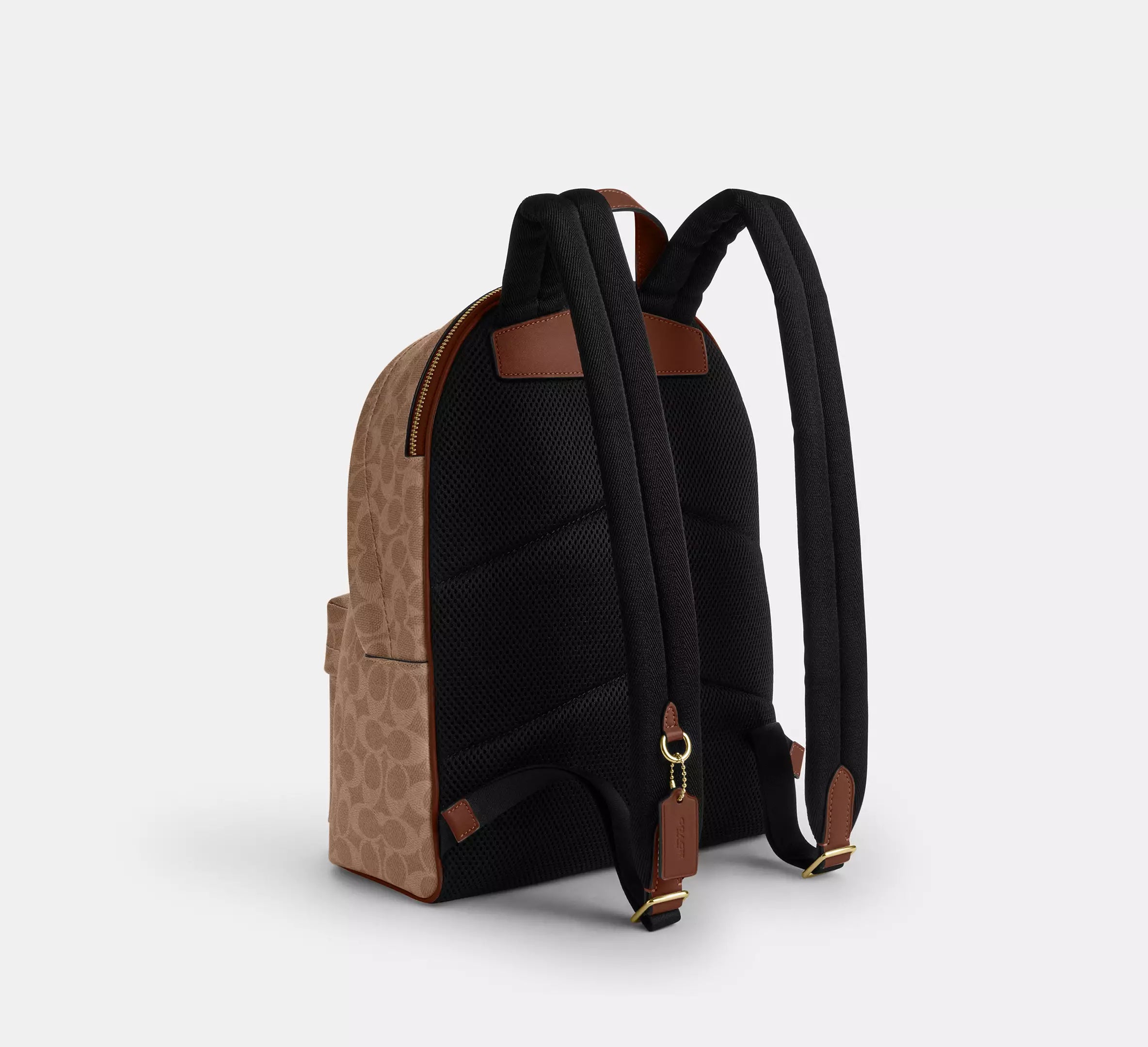 Gold/Tan/Brown