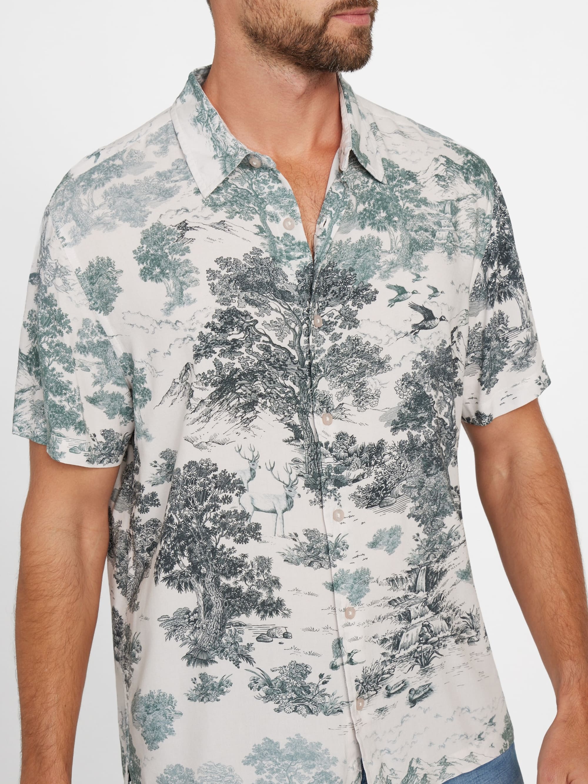 Forest Toile Print Jungle