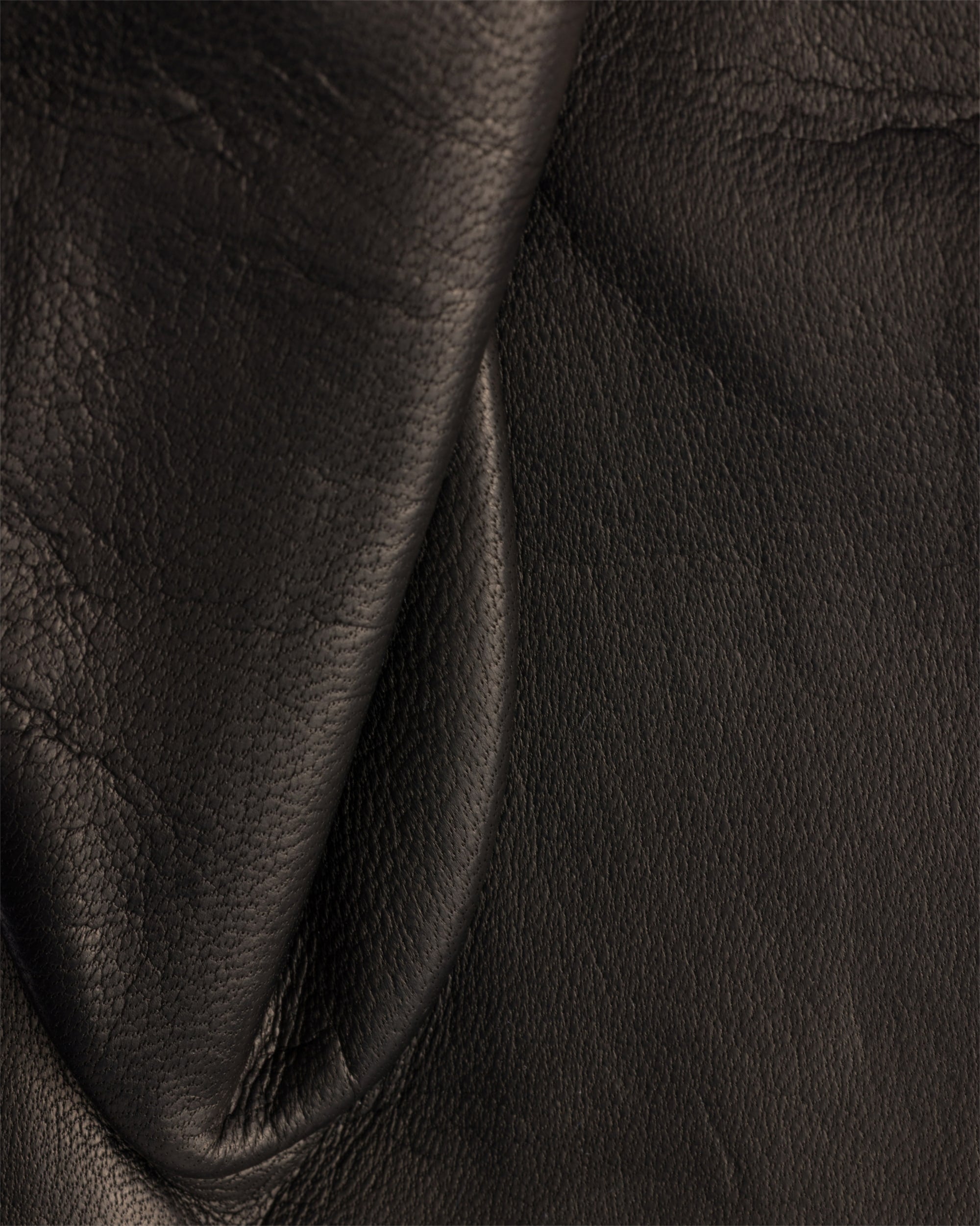 Camel/Negro