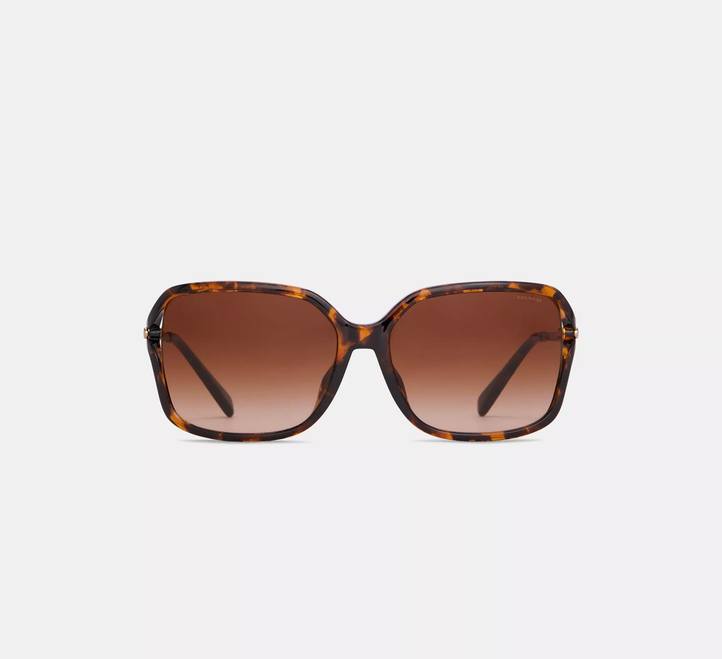 DARK TORTOISE