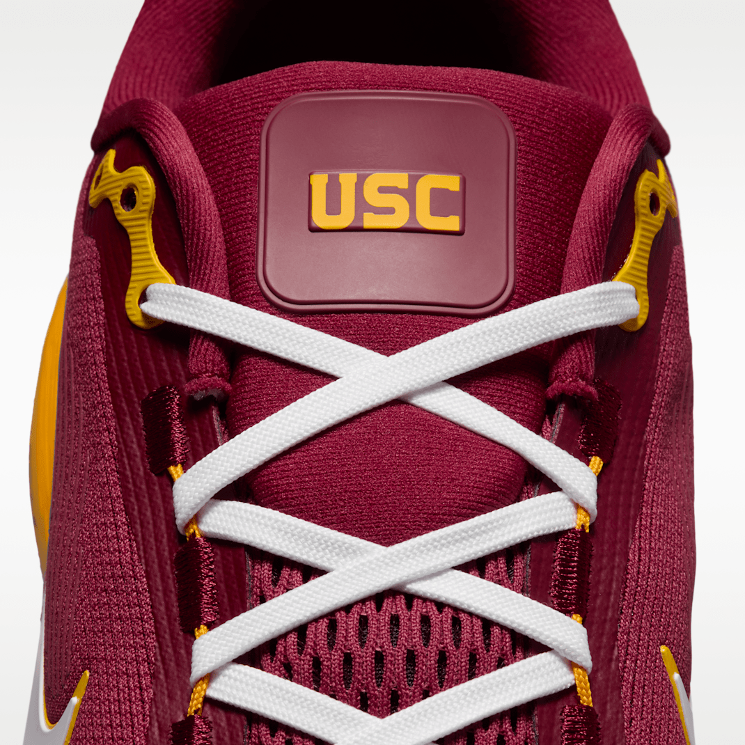 Team Crimson/University Gold/White