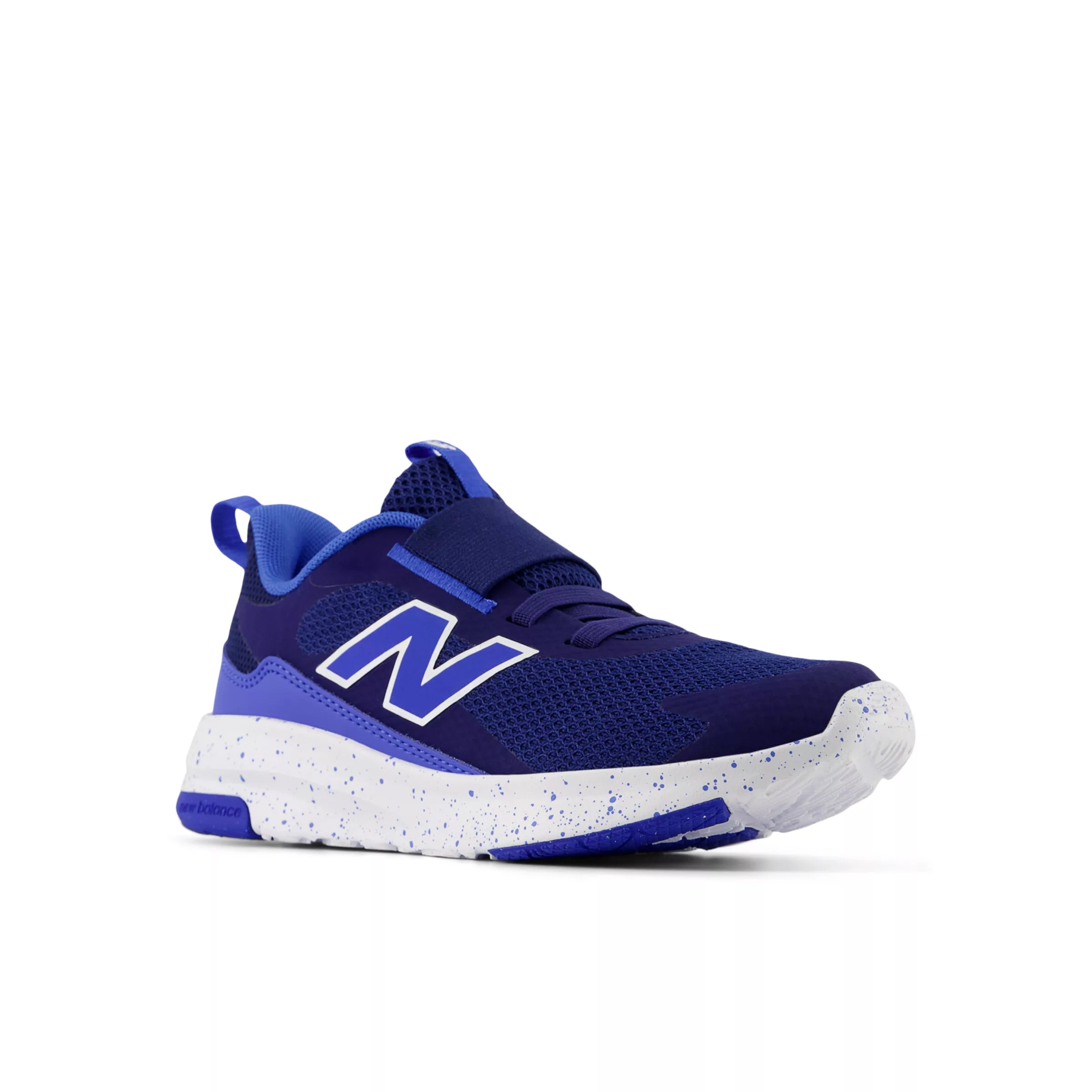 Blue Oyster With Bluebird And Nb White