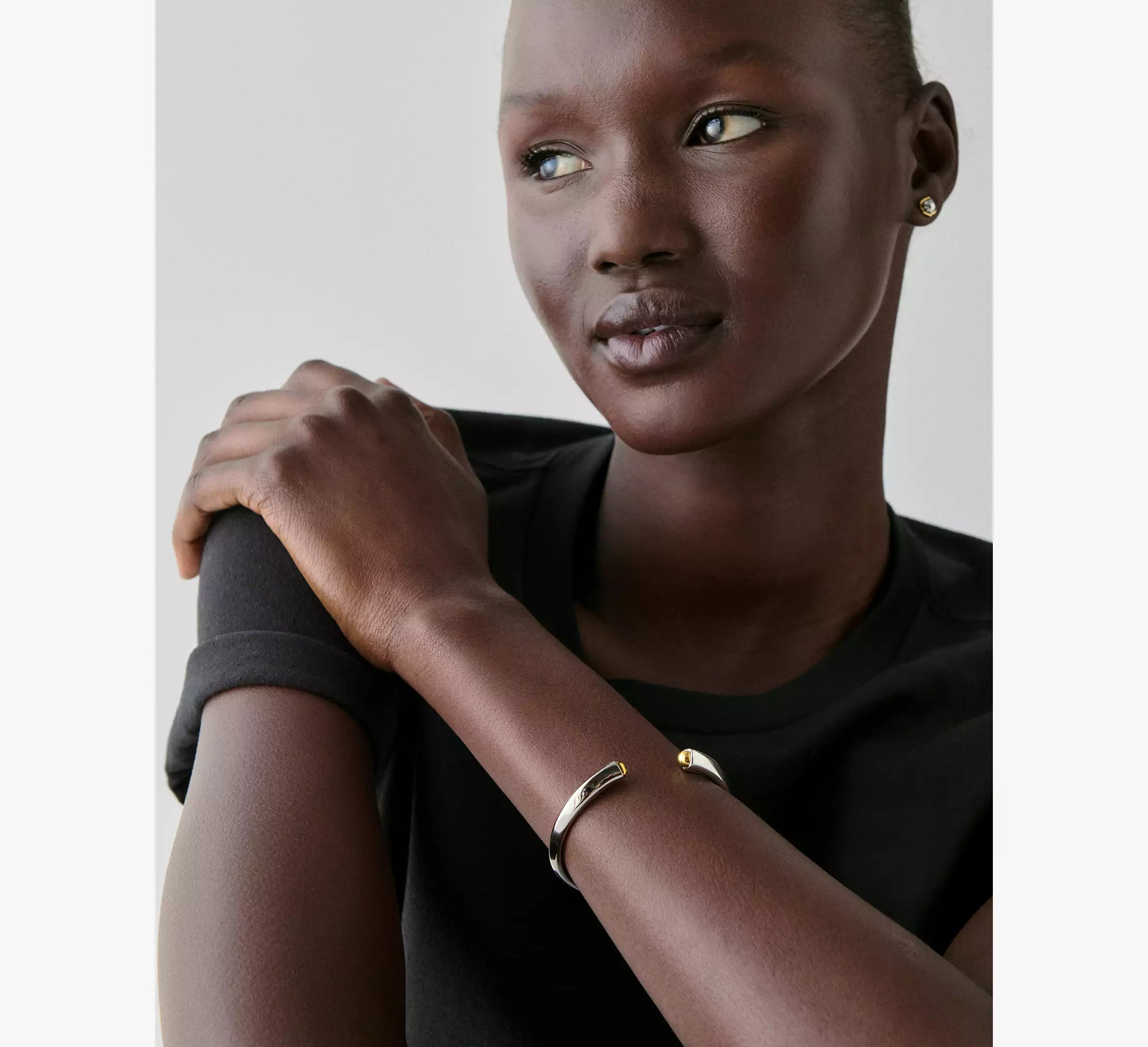 Silver/Gold