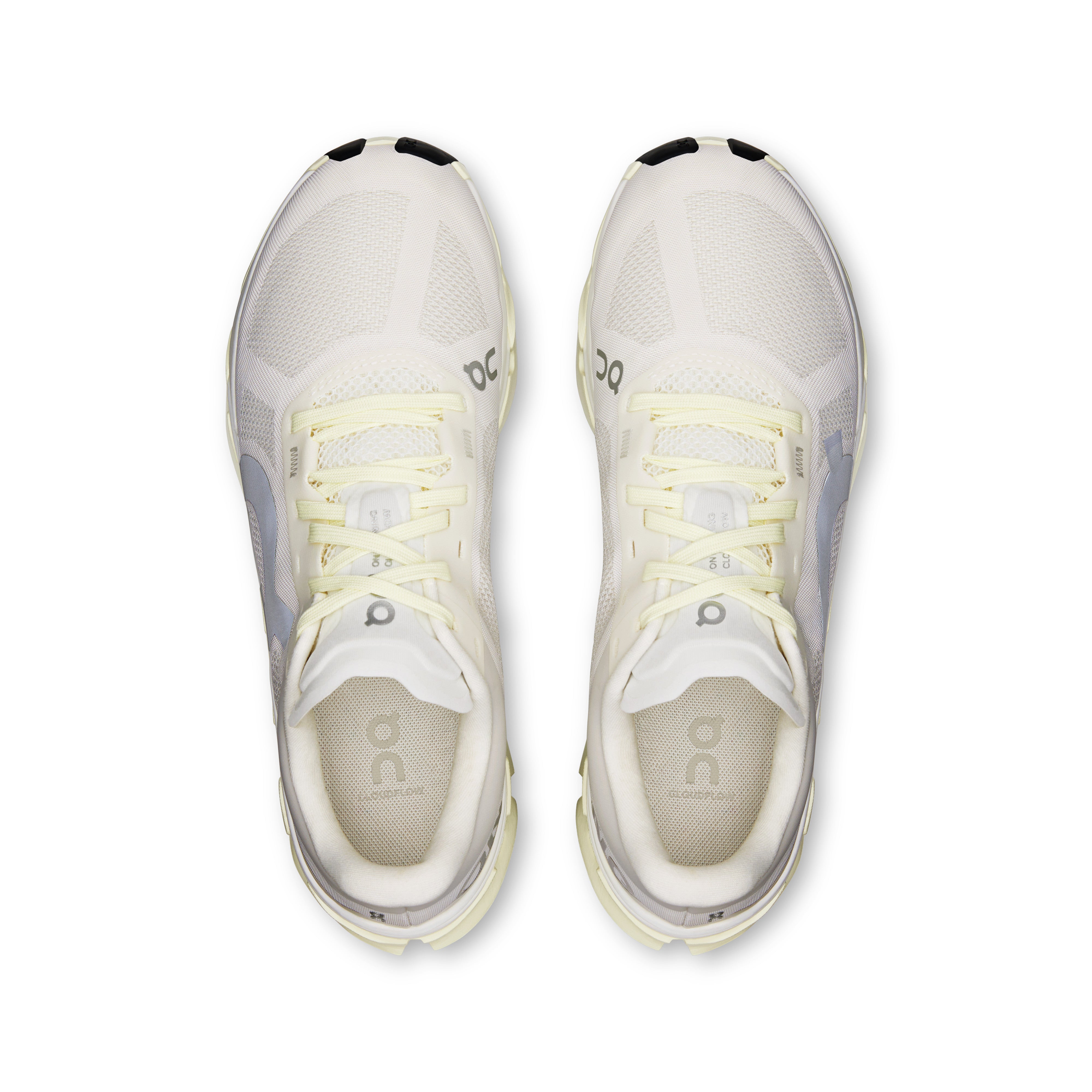 Ivory | Seedling