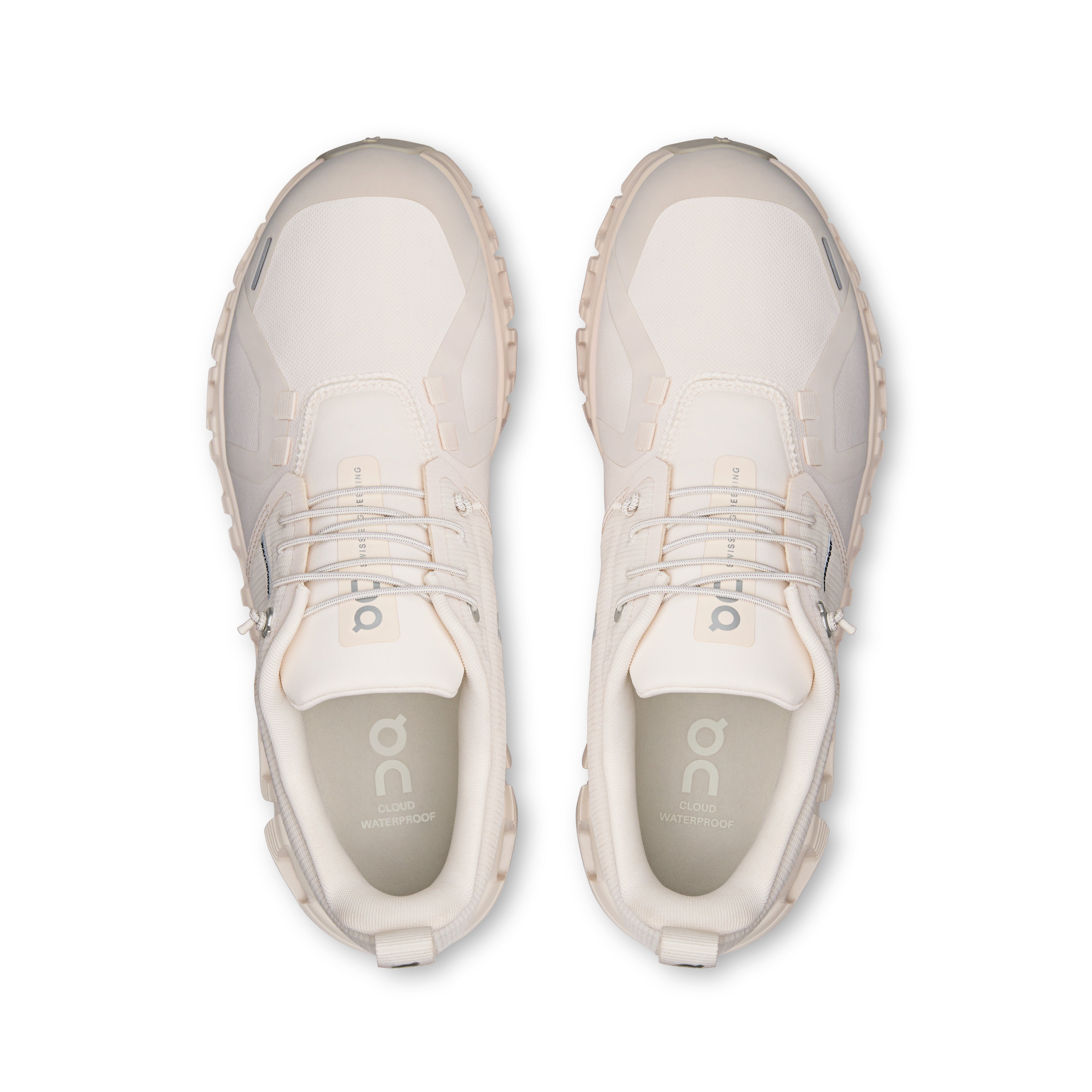 Seashell | Seashell