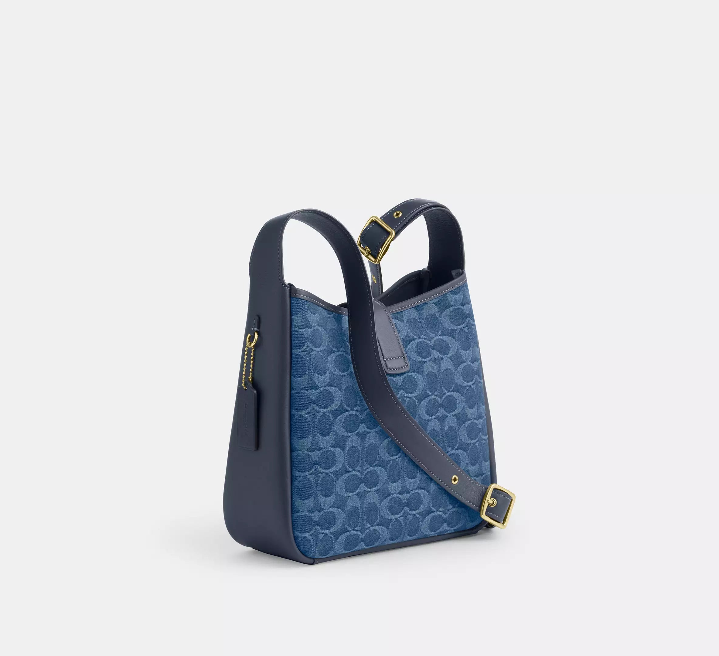 Gold/Indigo