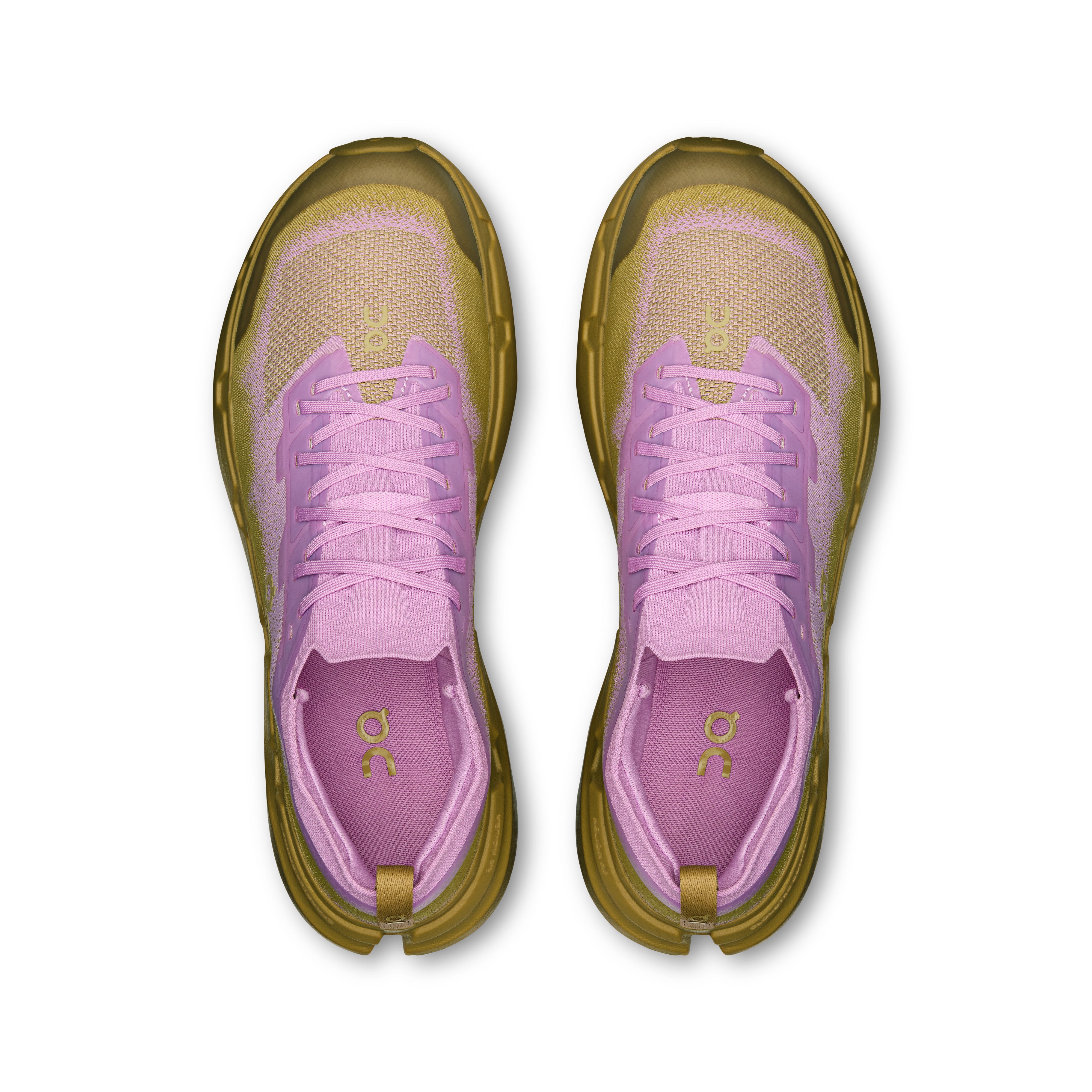 Sakura | Safari