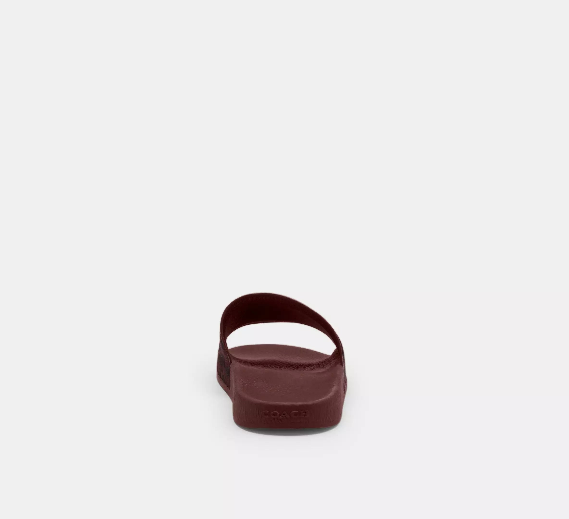 Black Currant