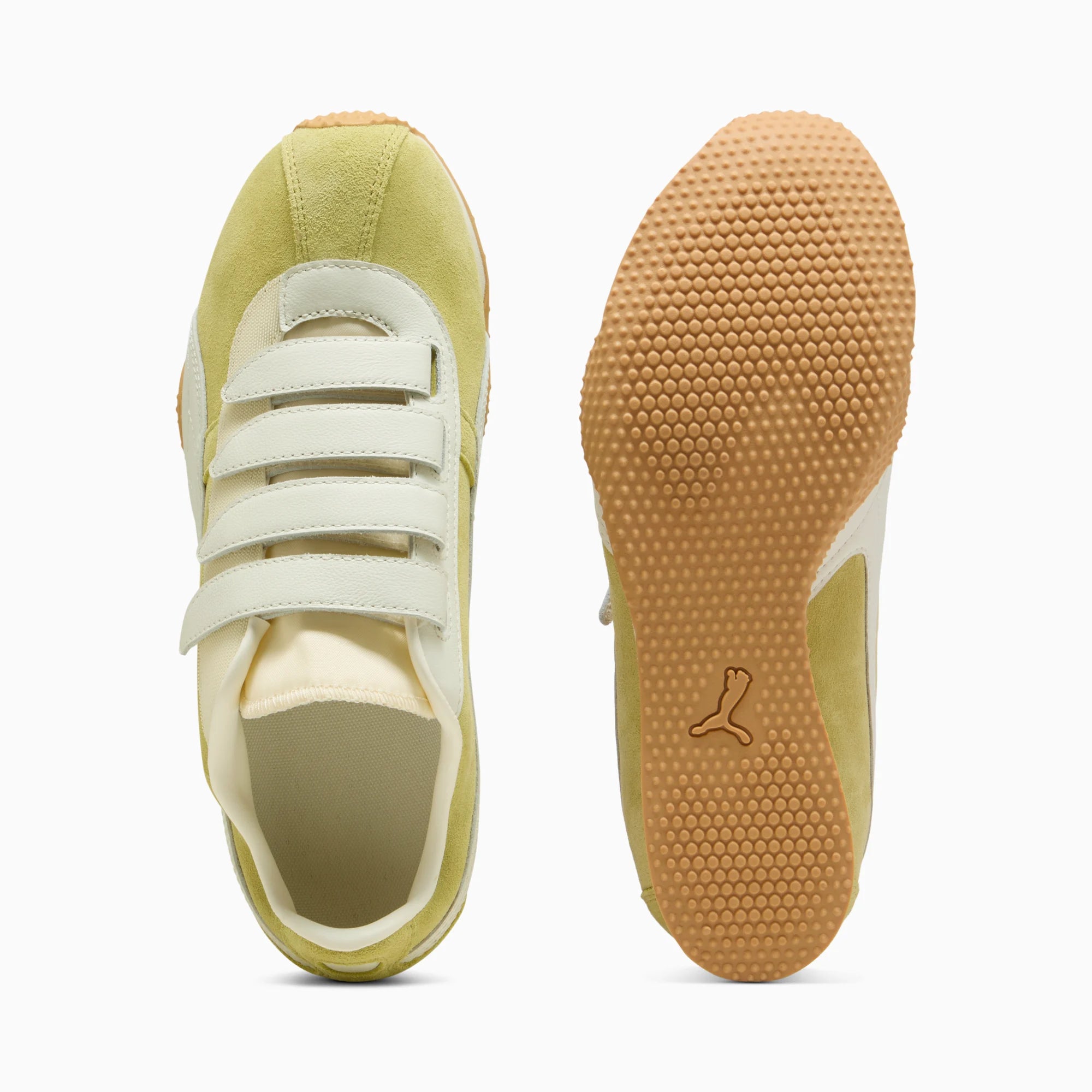 Rustic Olive-Warm White