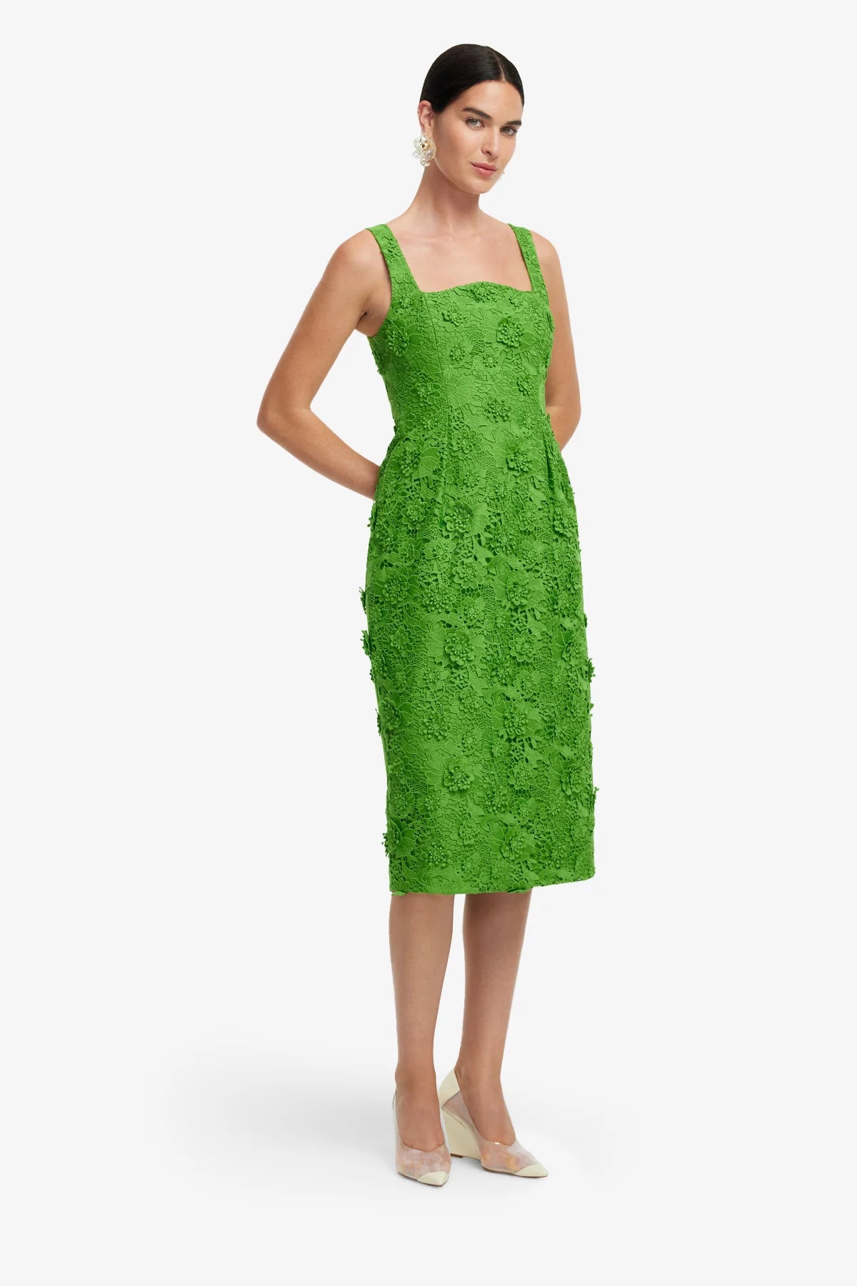 Fern