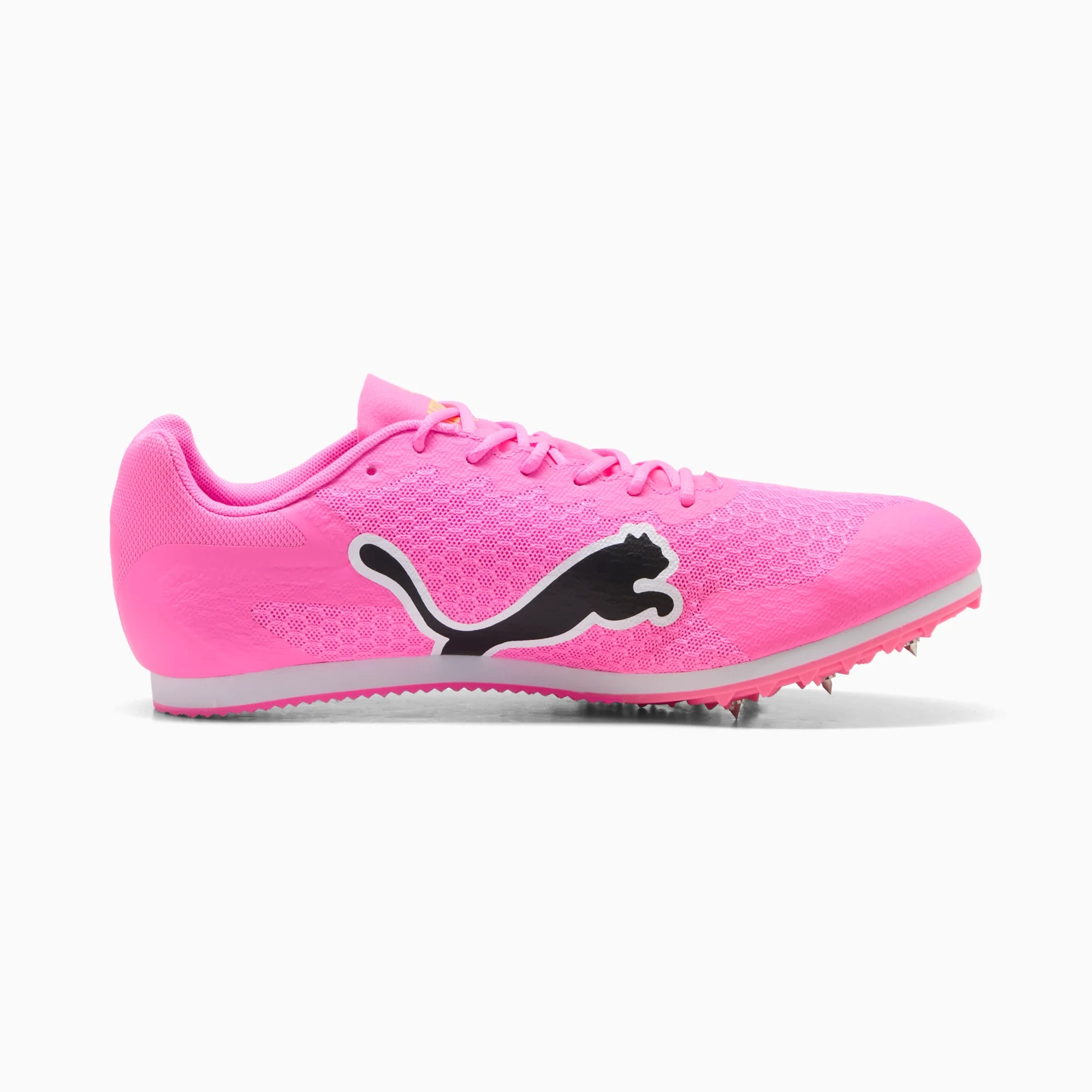 Poison Pink-Sun Stream-PUMA Black