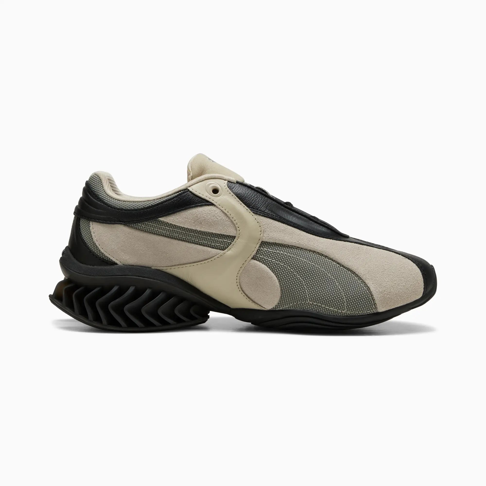 PUMA Black-Birch Tree