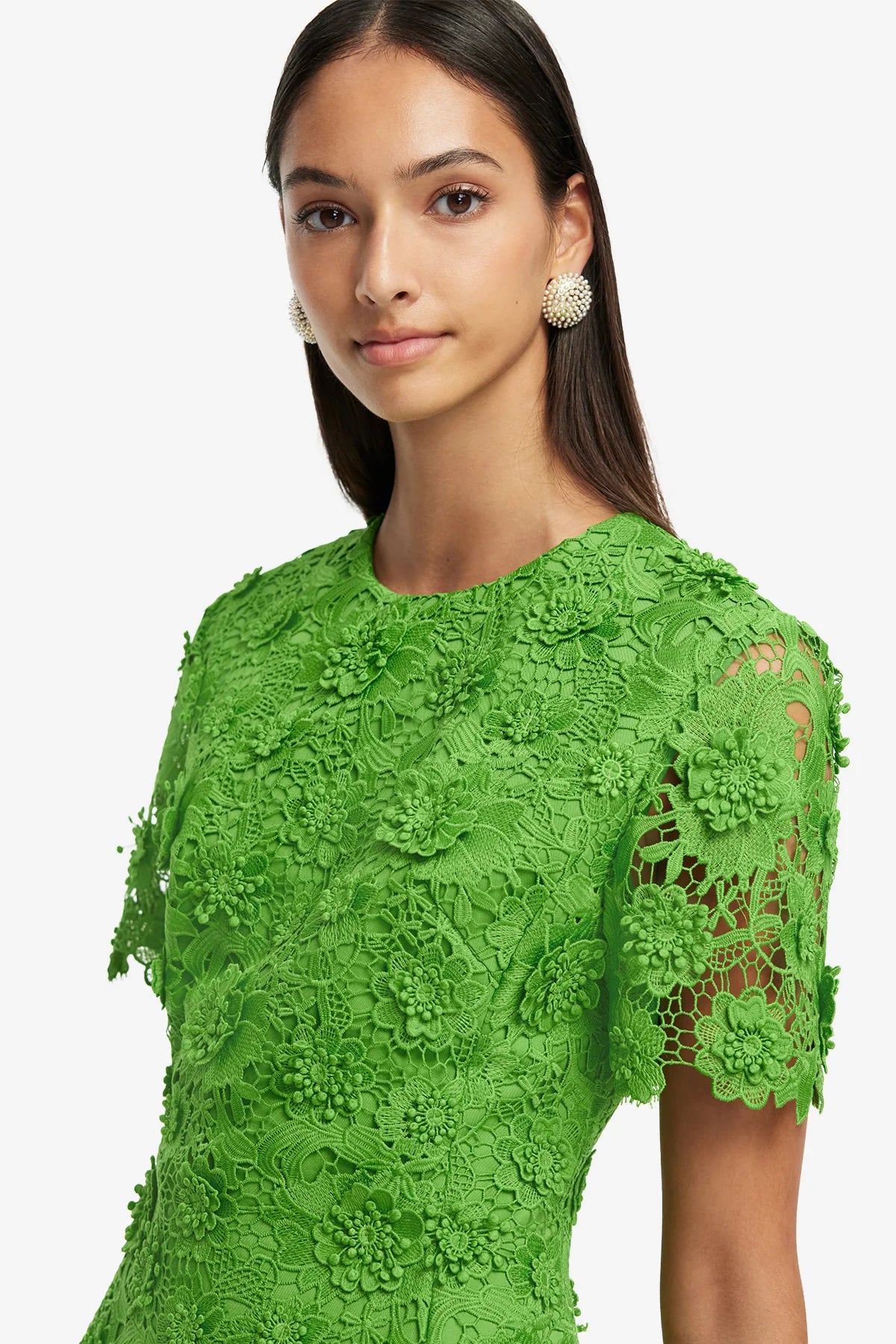 Fern
