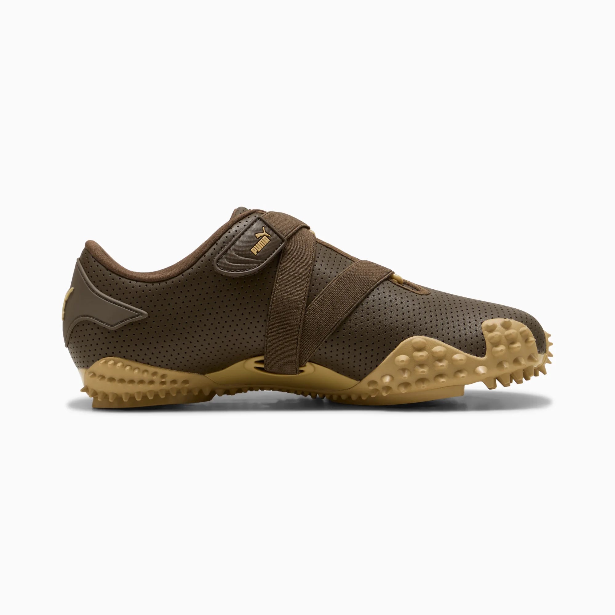 Chocolate-Sand Dune