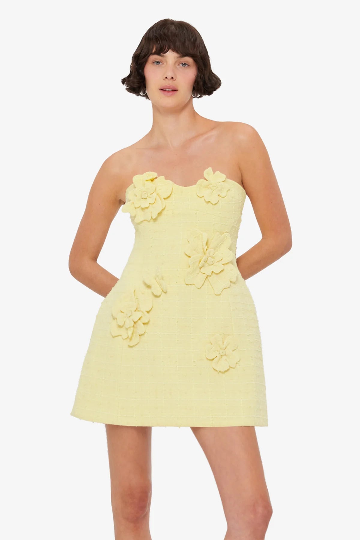 Sorbet Yellow 2
