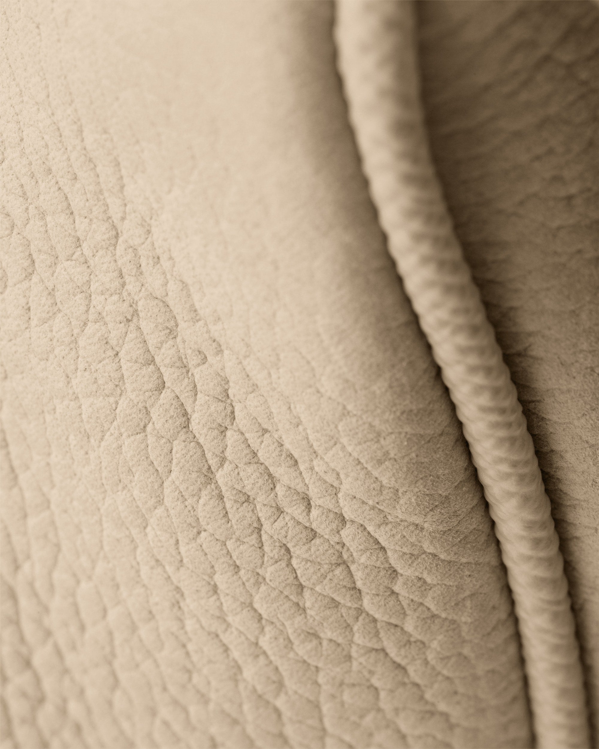 Beige Desierto