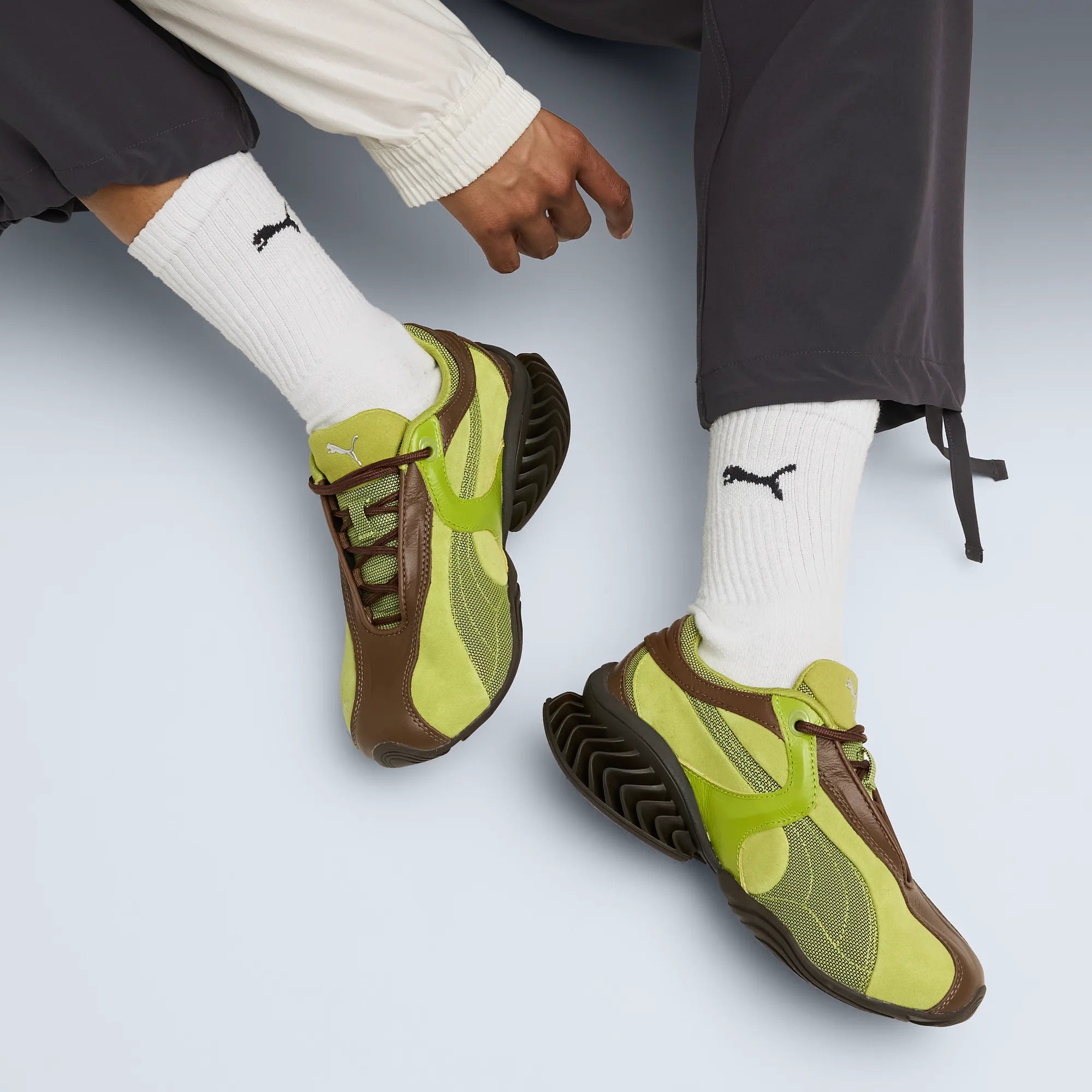 Russet Brown-Tart Apple