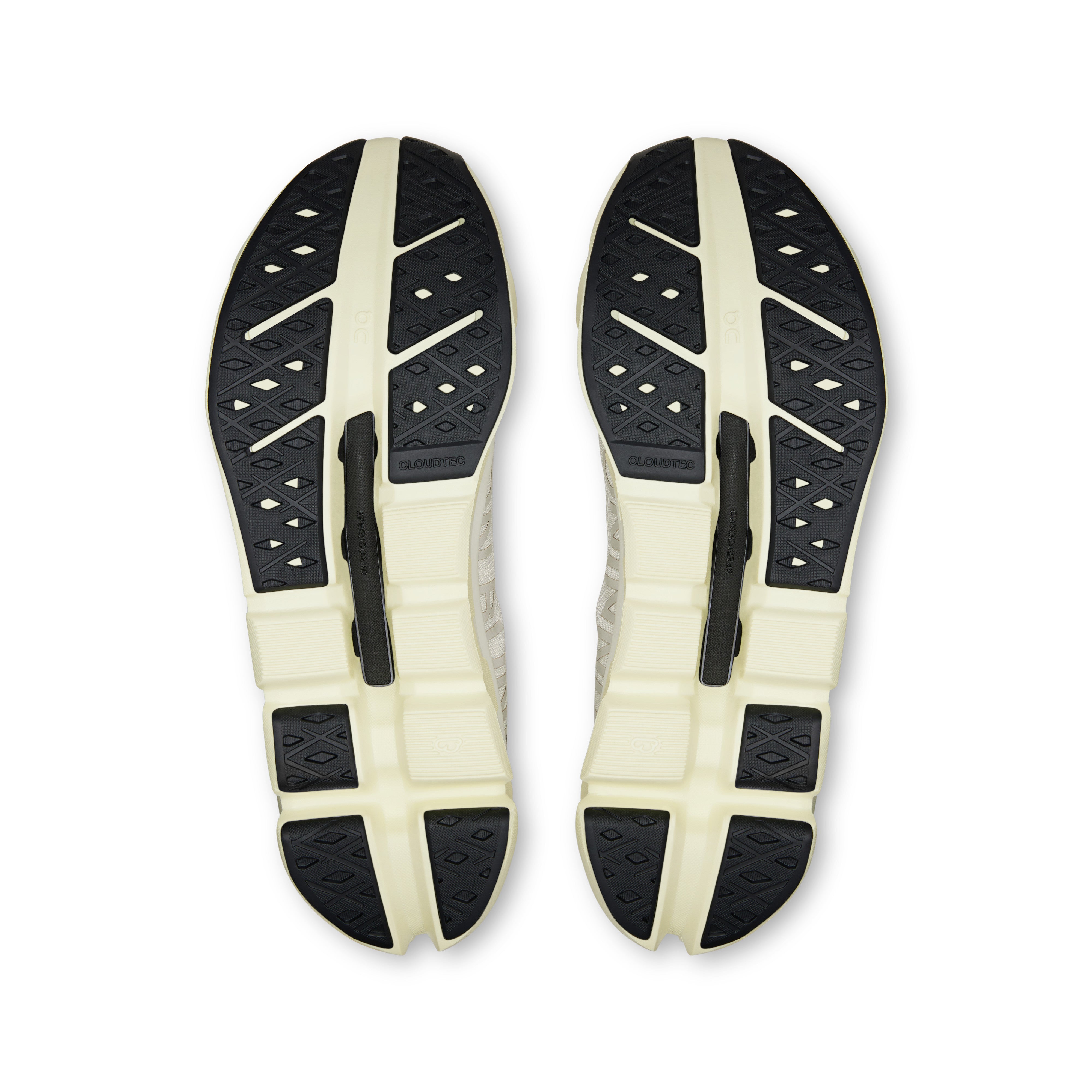 Ivory | Seedling
