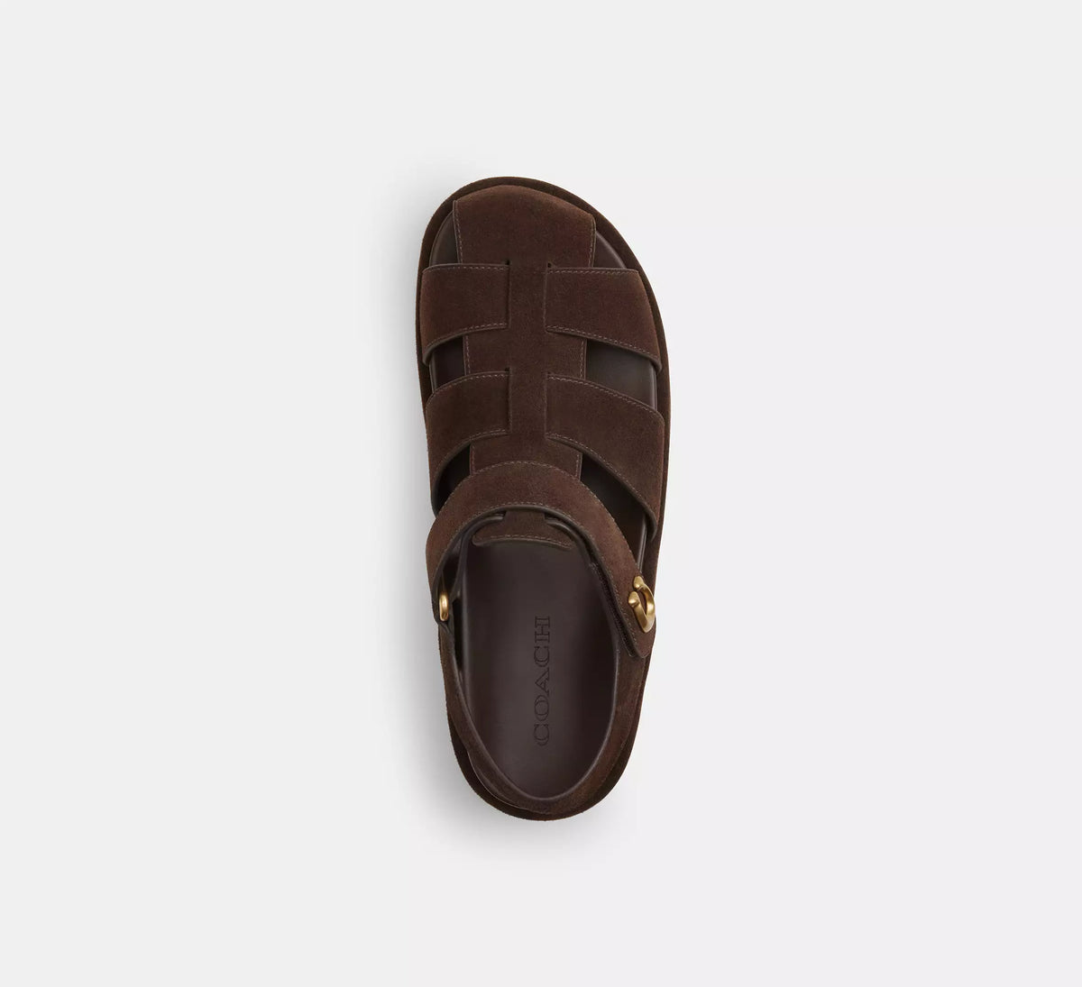 Chocolate Brown