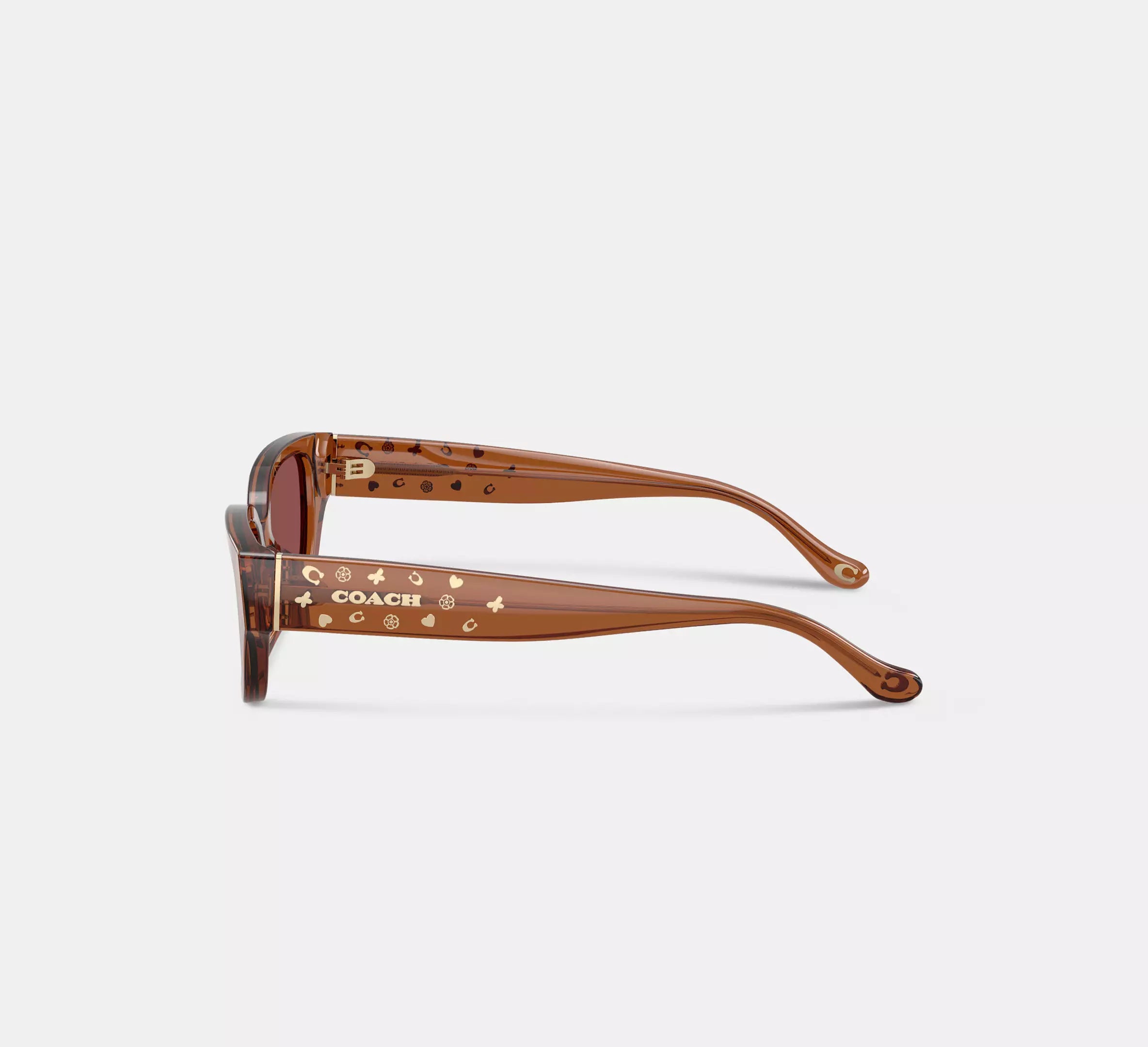 Transparent Brown