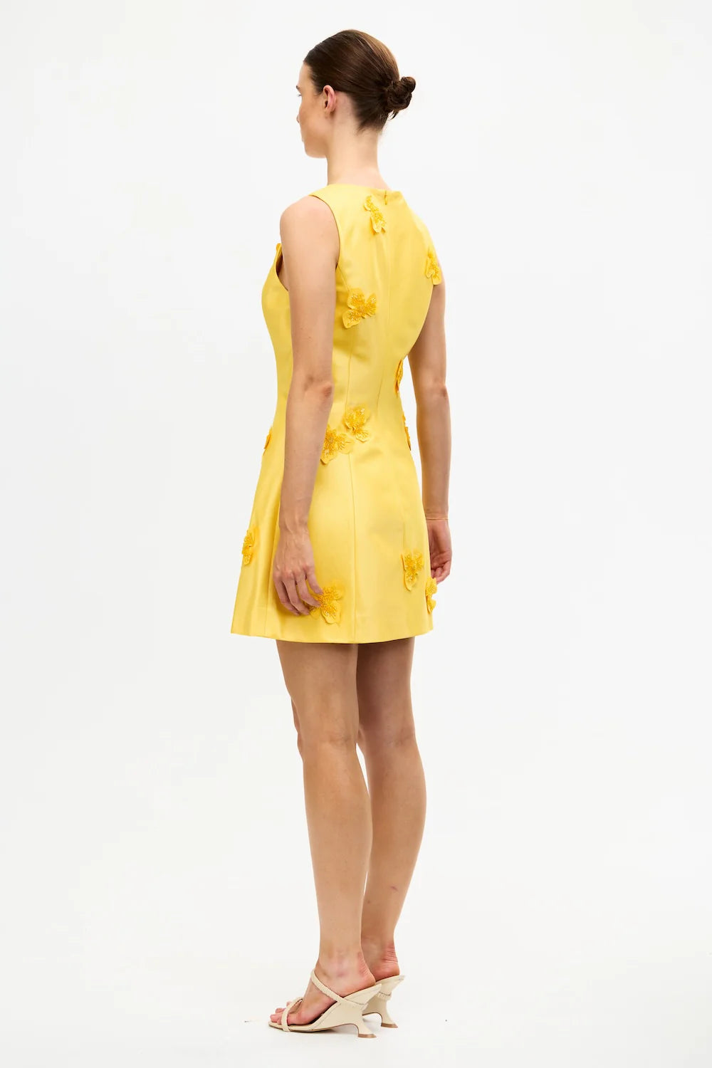 Daffodil