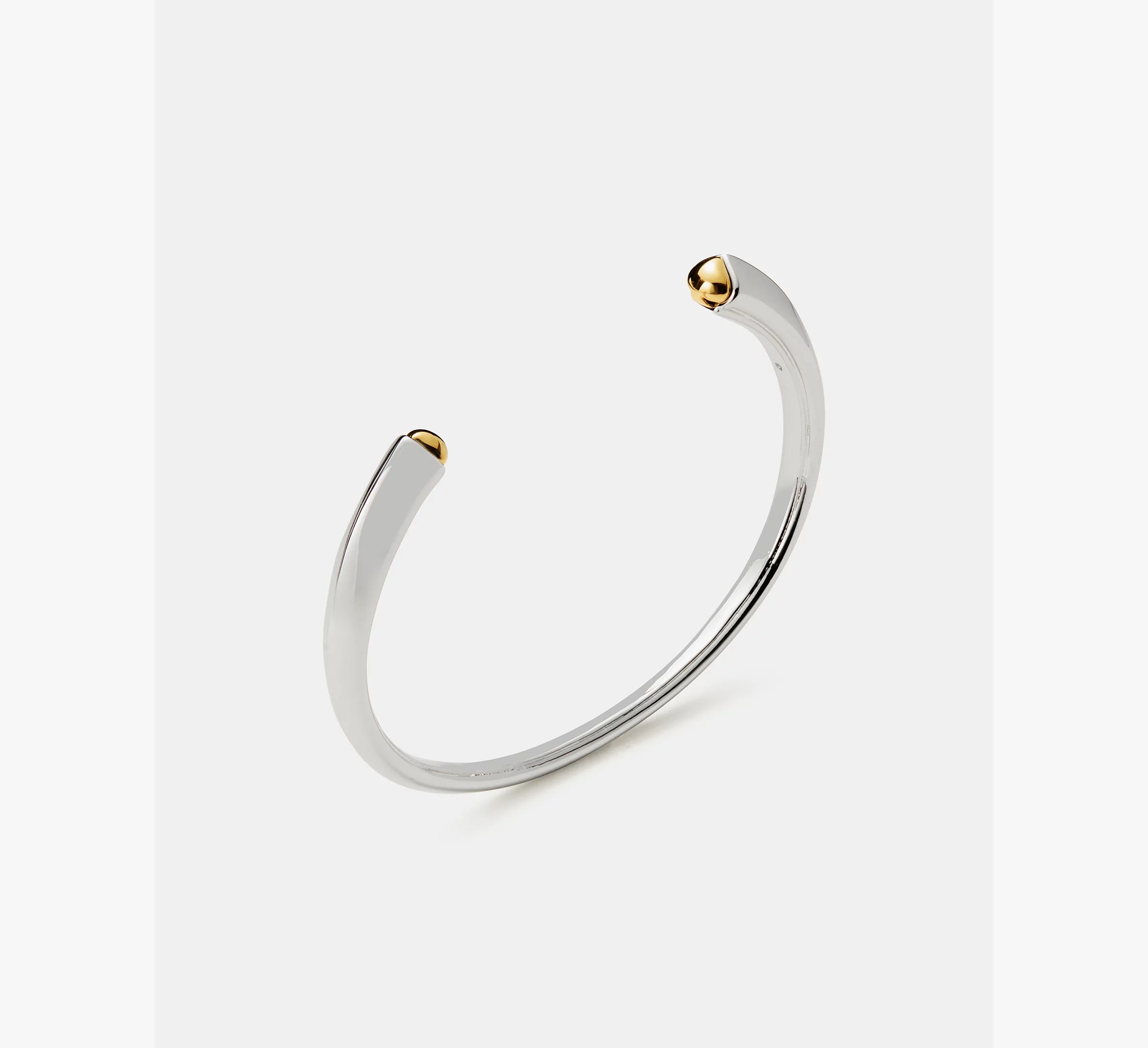 Silver/Gold