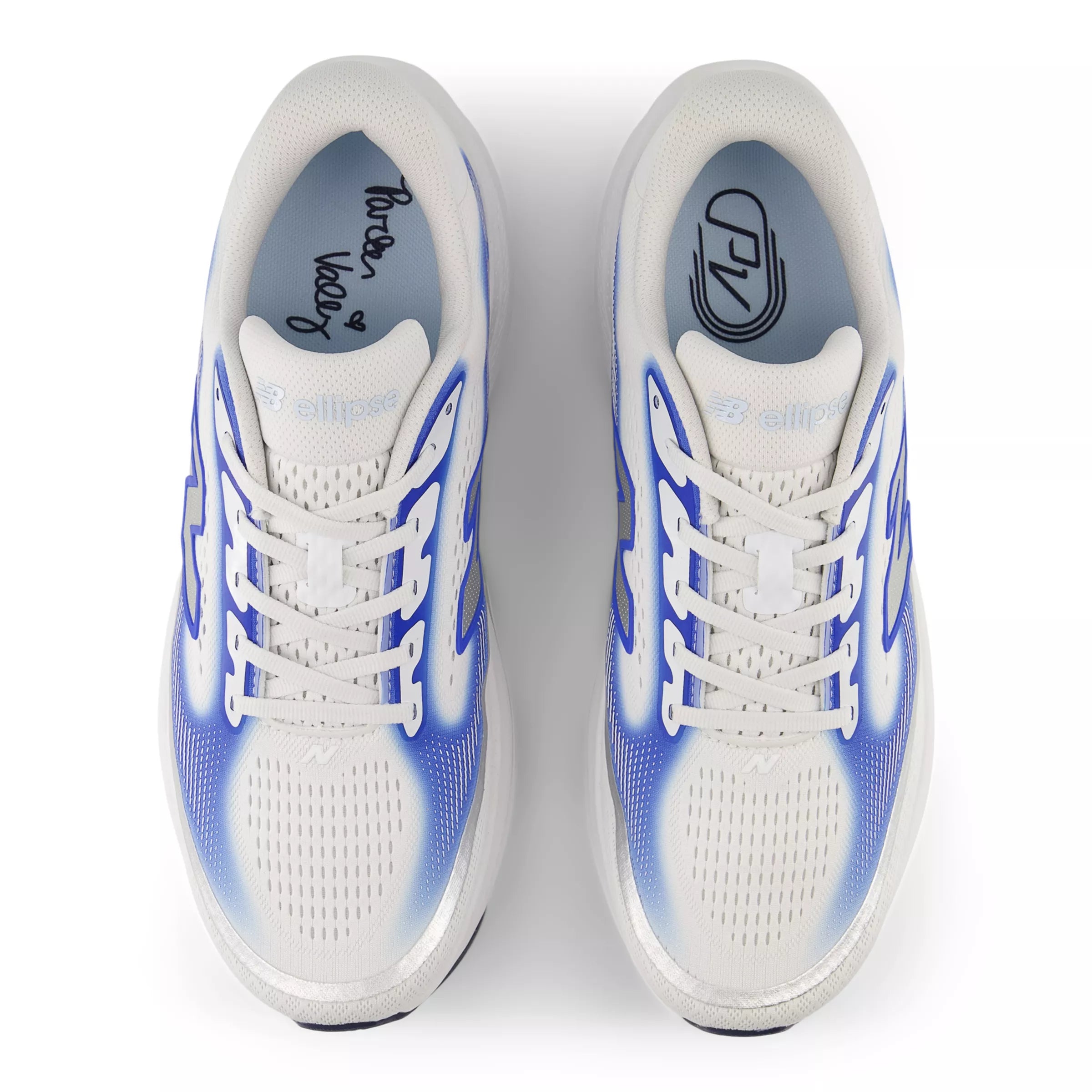 White With Blue Bird