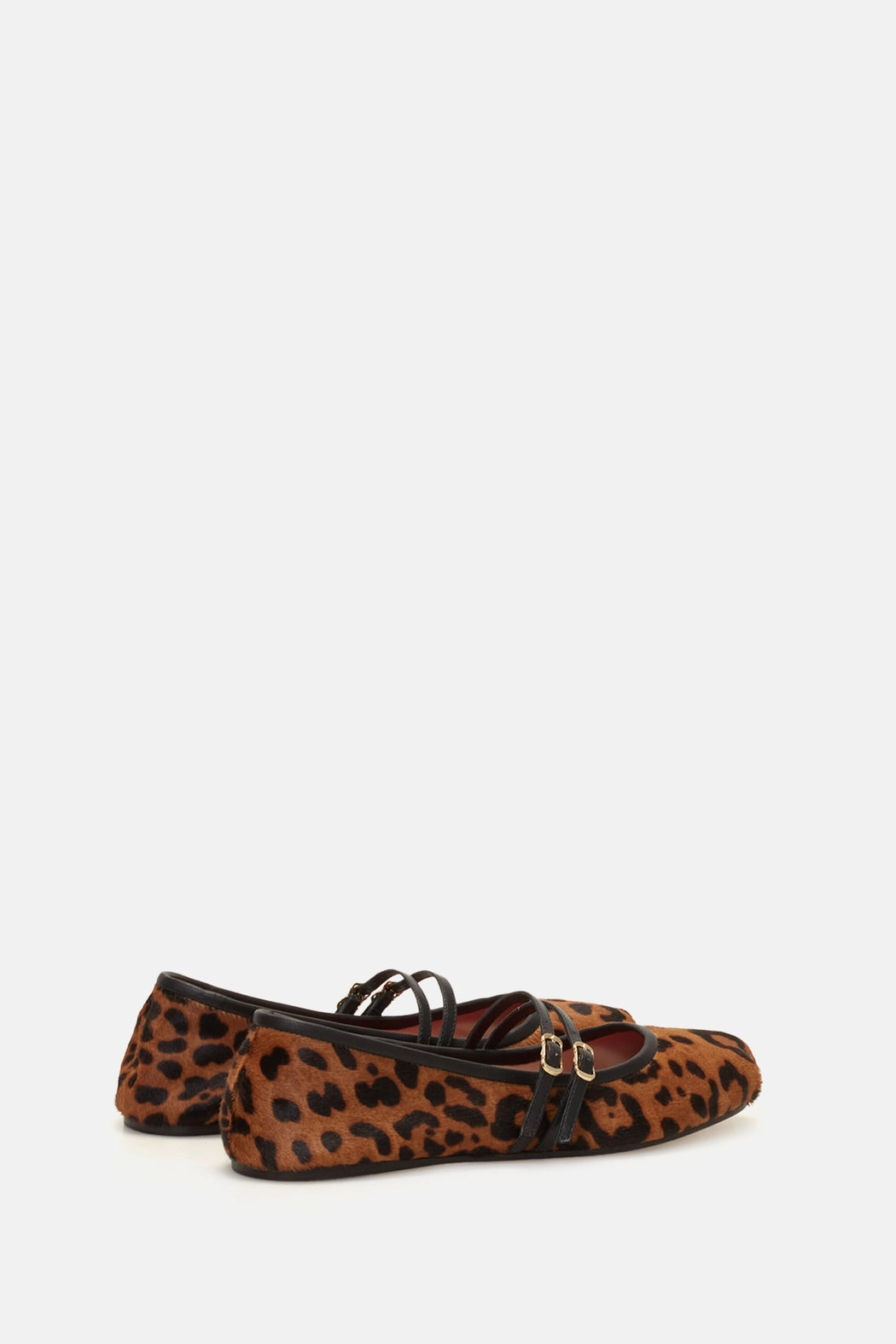 LEOPARDO