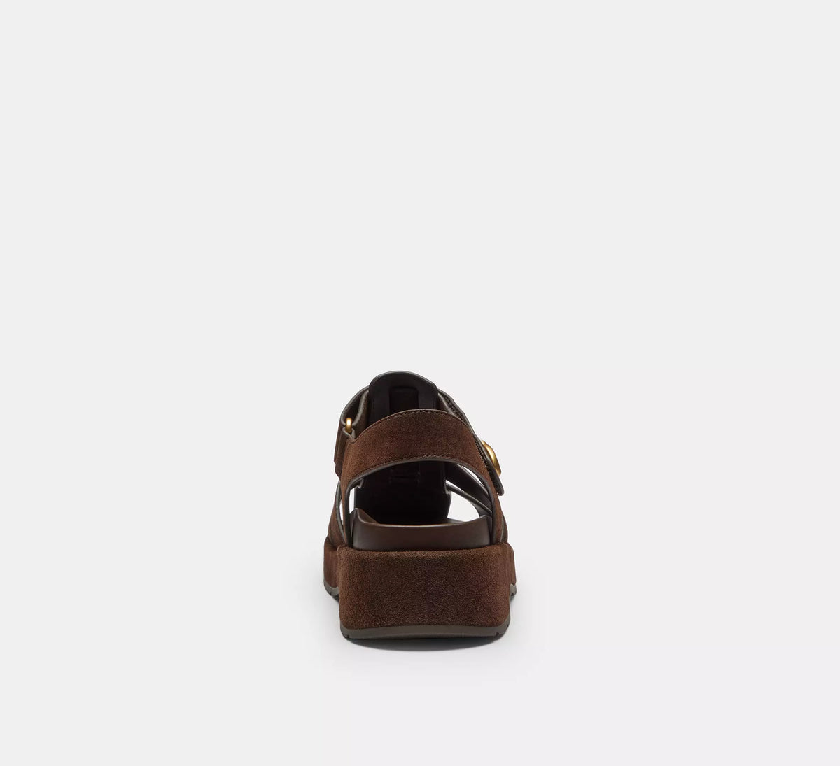 Chocolate Brown