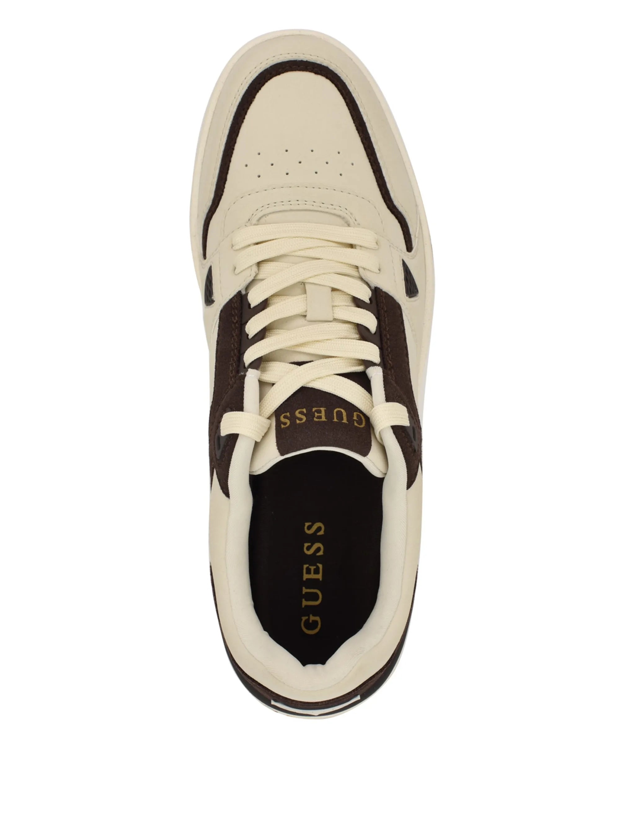 Ivory 150