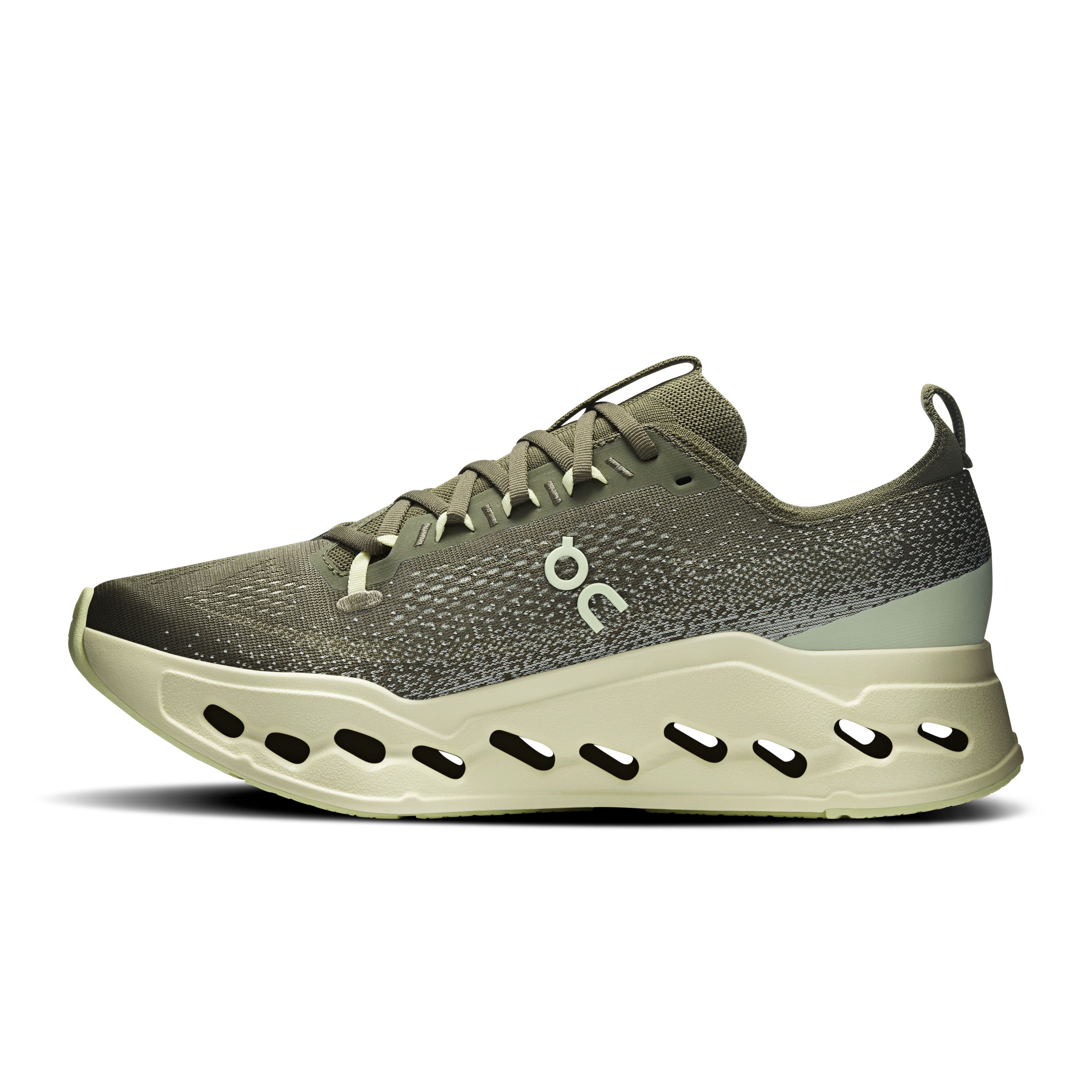 Olive | Seedling